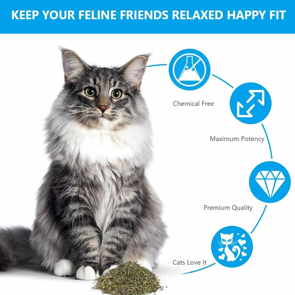 Herbe à Chat Naturelle 100g pour Chaton Stimulante Digestive
