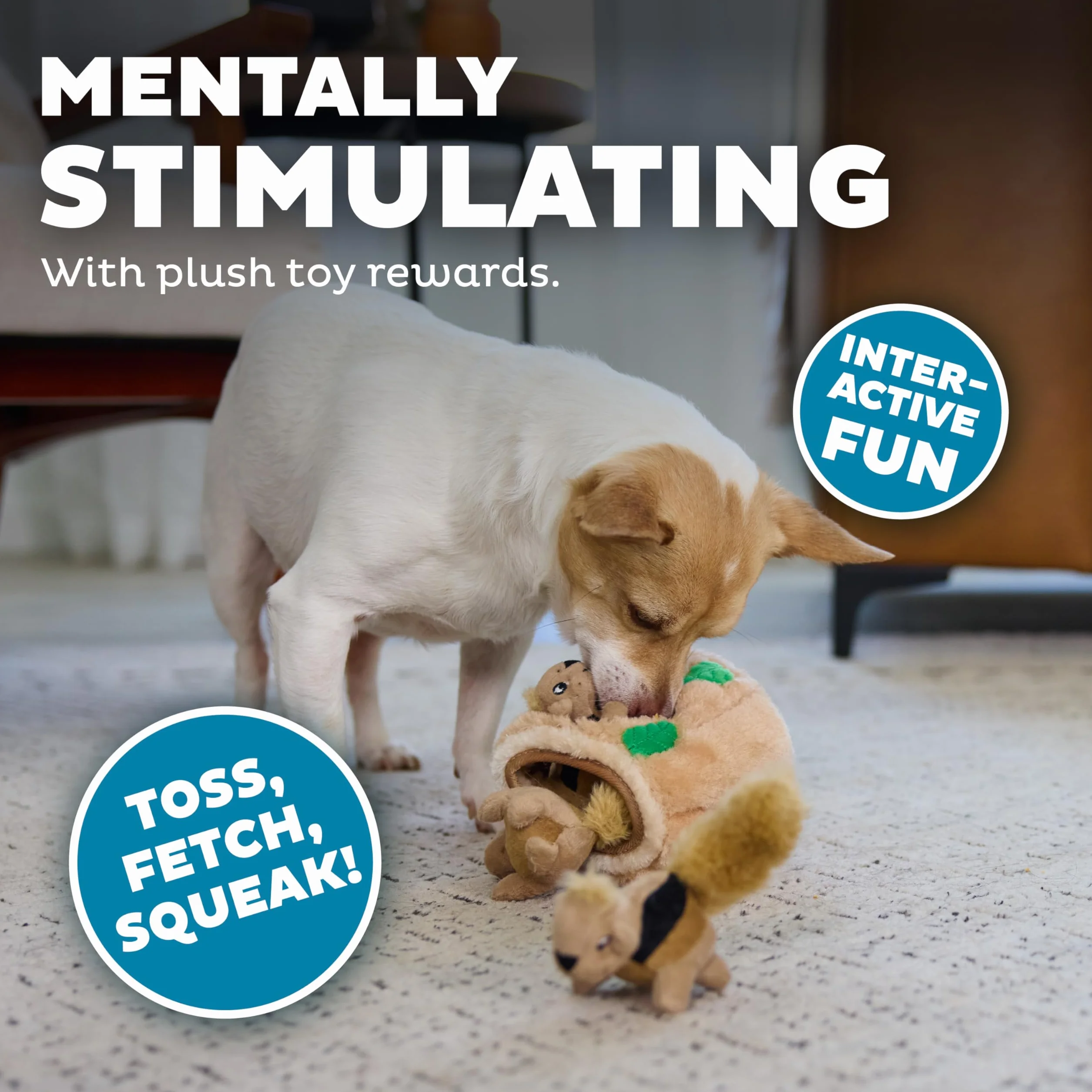 Outward Hound Casse tête pour Chiens Cache-Cache Ecureuil en Peluches Petit format