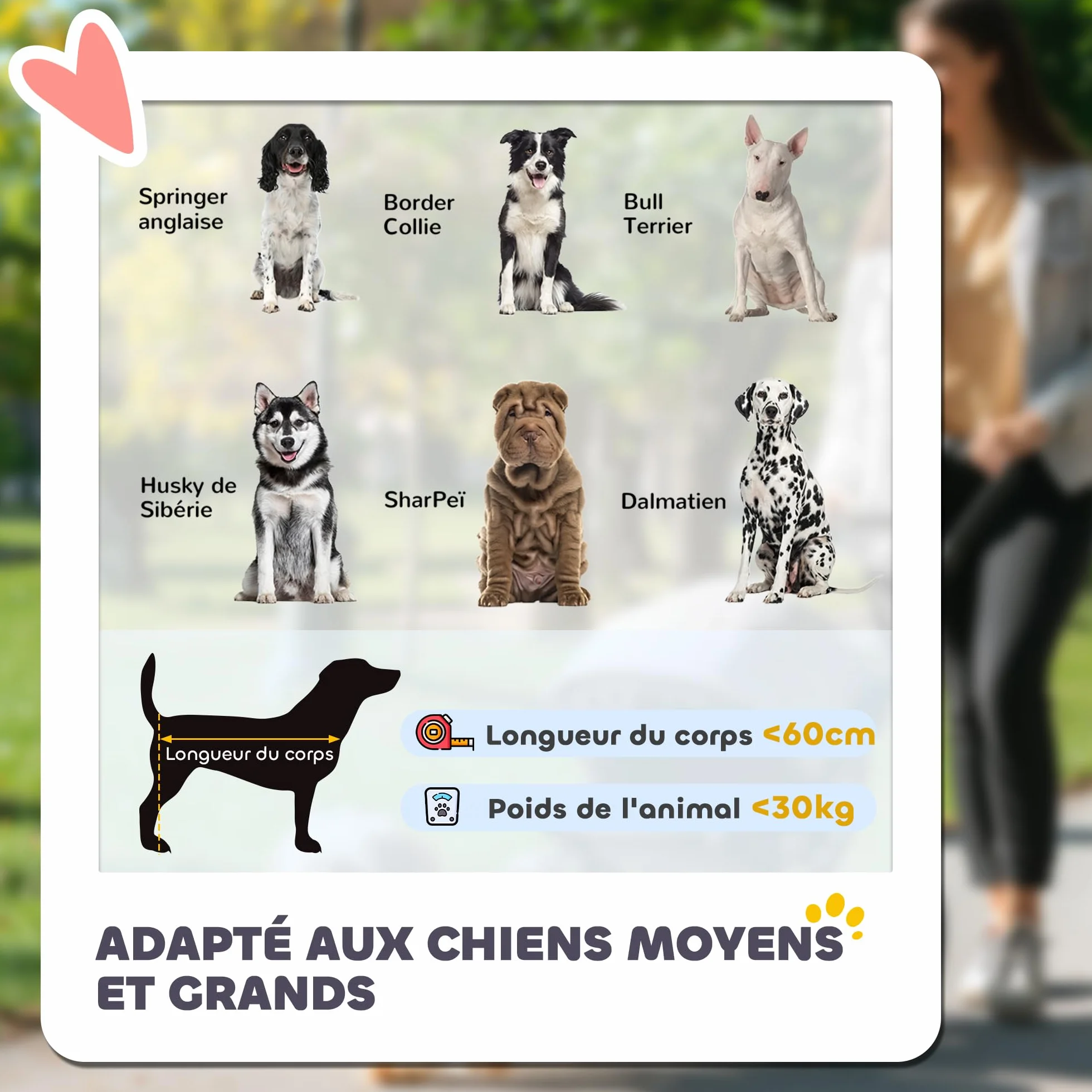 PawHut Poussette pour chien 4 roues EVA pliage un clic laisse sécurité charge 30 kg gris foncé
