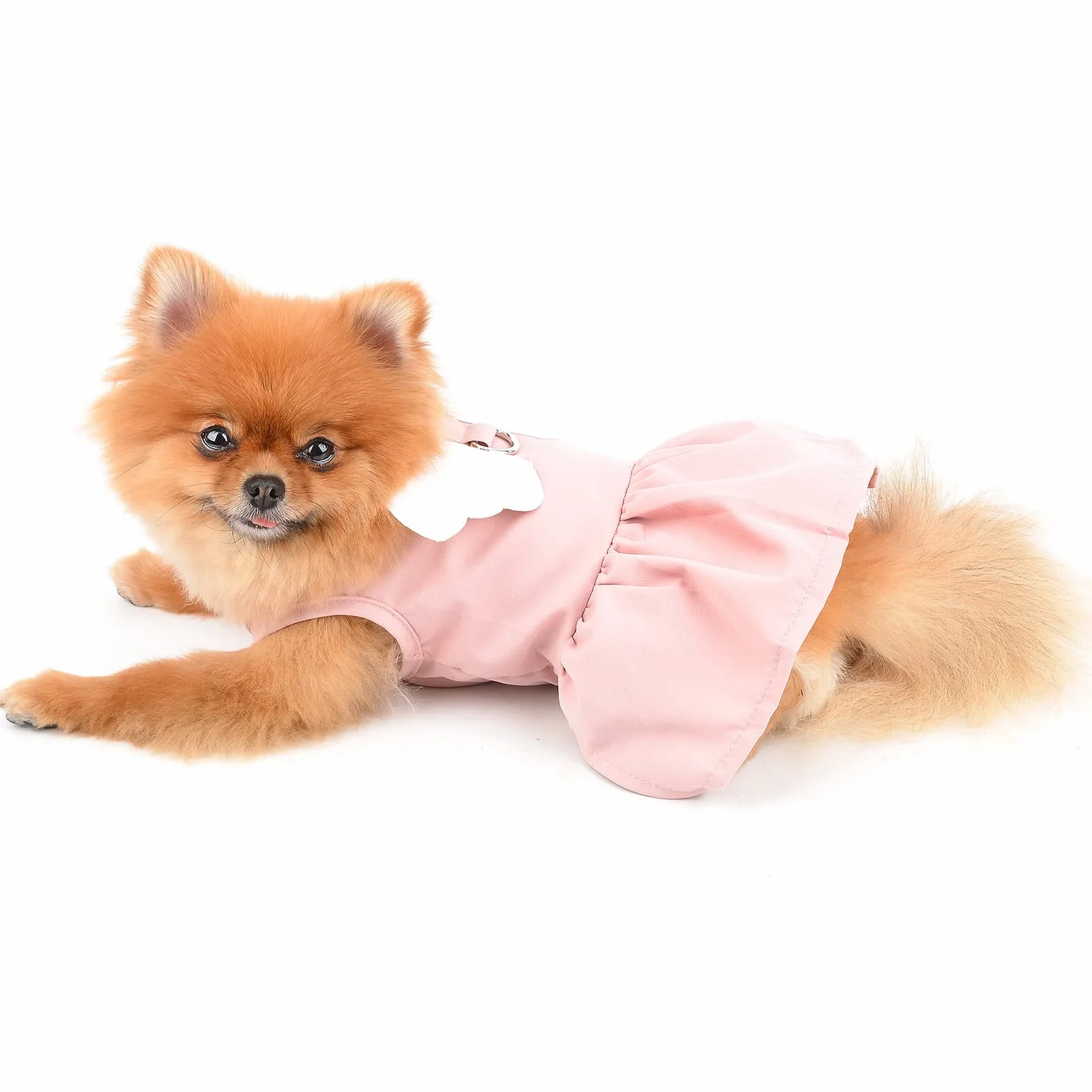 Angel Wing Robe Harnais et Laisse pour Chien et Chat, Robe d'été avec Anneau en D, Jupe pour Chiot, Vêtements Printemps-été pour Yorkshire Chihuahua, Rose, XS