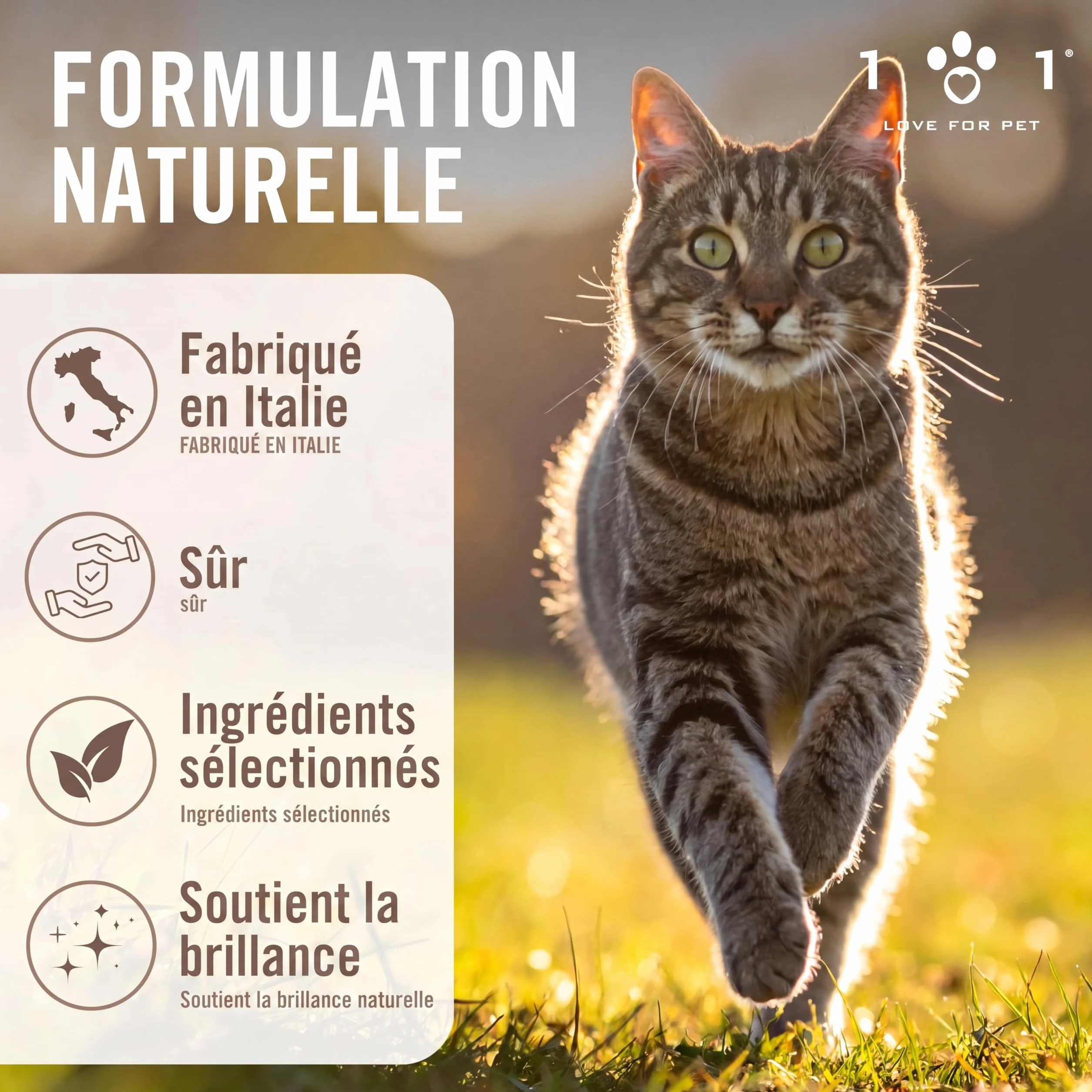 Linea 101 Démêlant Chat Poils Longs 250 ML Spray Soin Vegan sans Rinçage