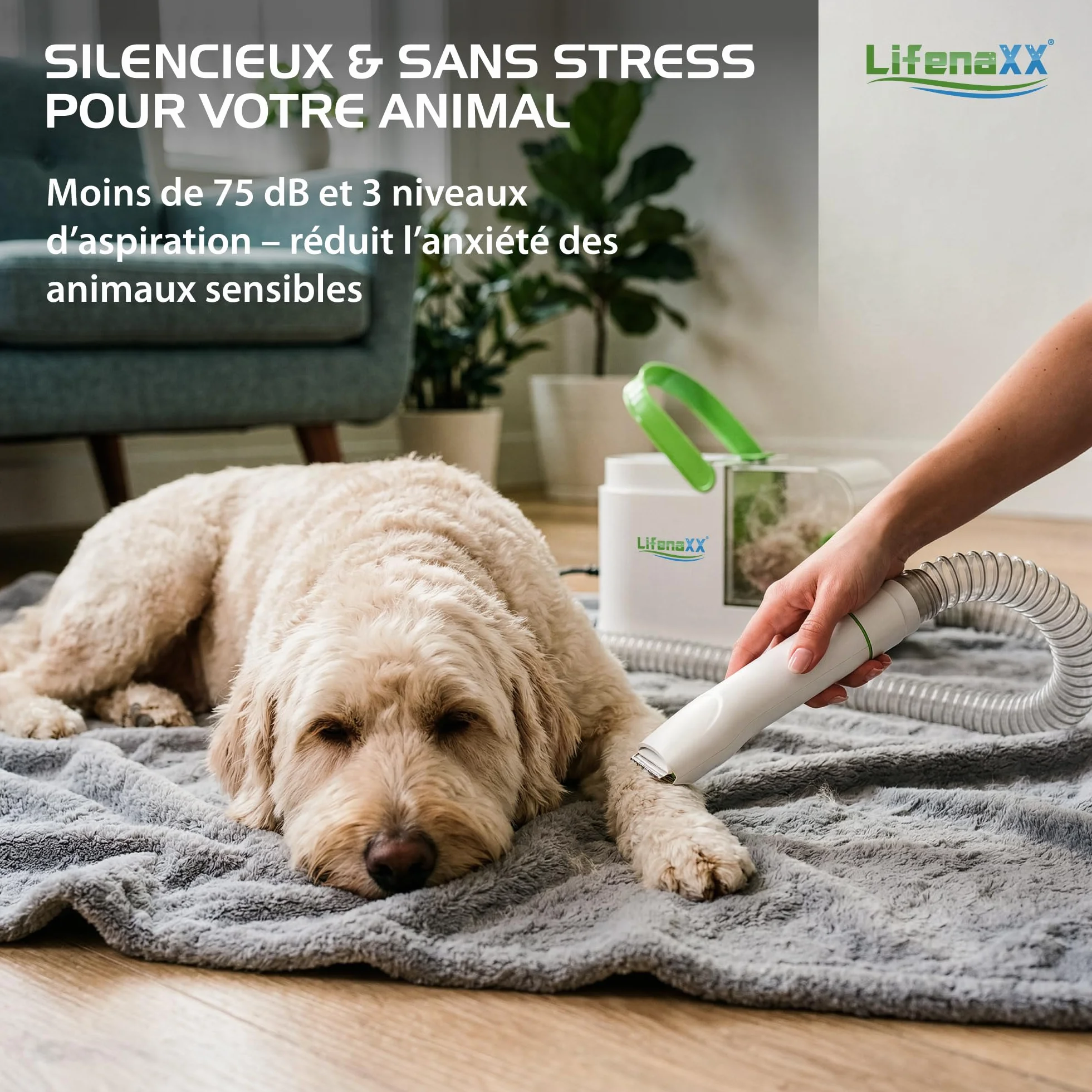 Lifenaxx Tondeuse Animale 6-en-1 avec Aspiration Kit Toilettage Chiens Chats Silencieuse LX-052