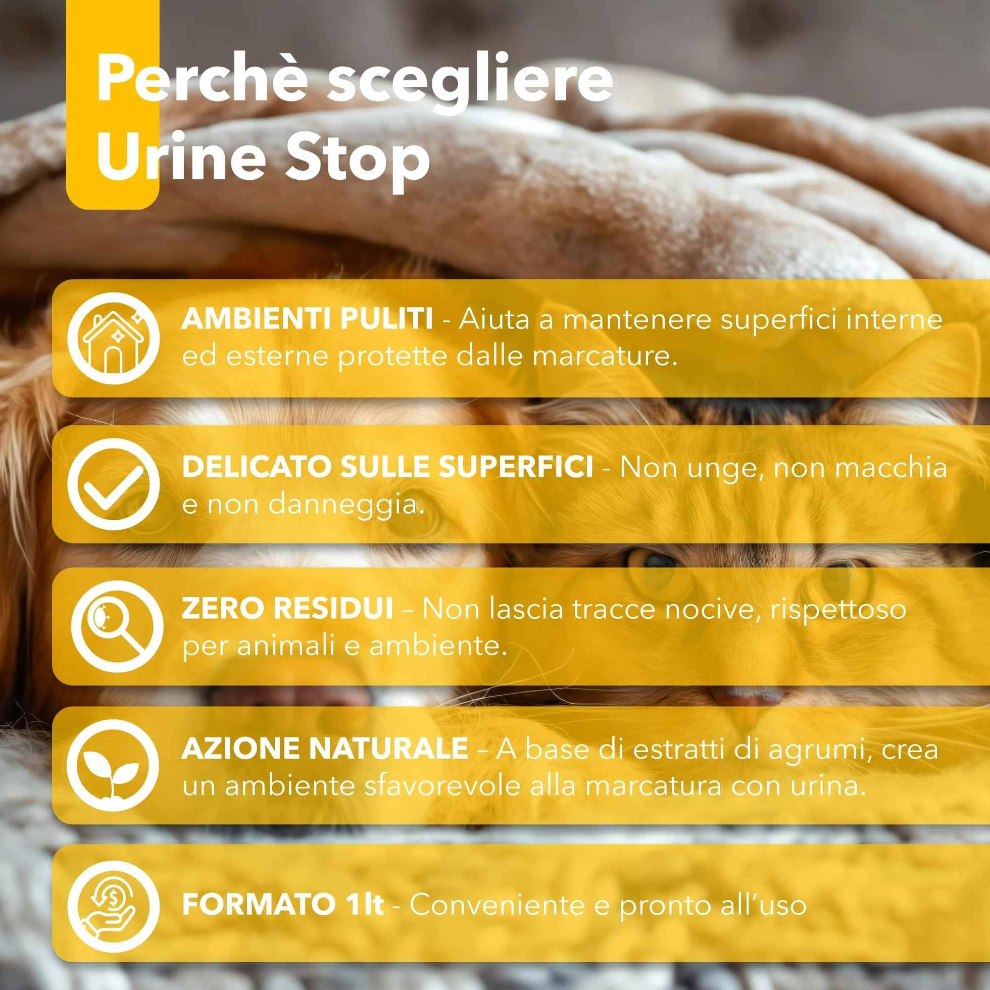 Bionee Urine Stop Spray Naturel pour Chiens et Chats 1L - Double action : Dishabituant aux Agrumes + Élimine les odeurs