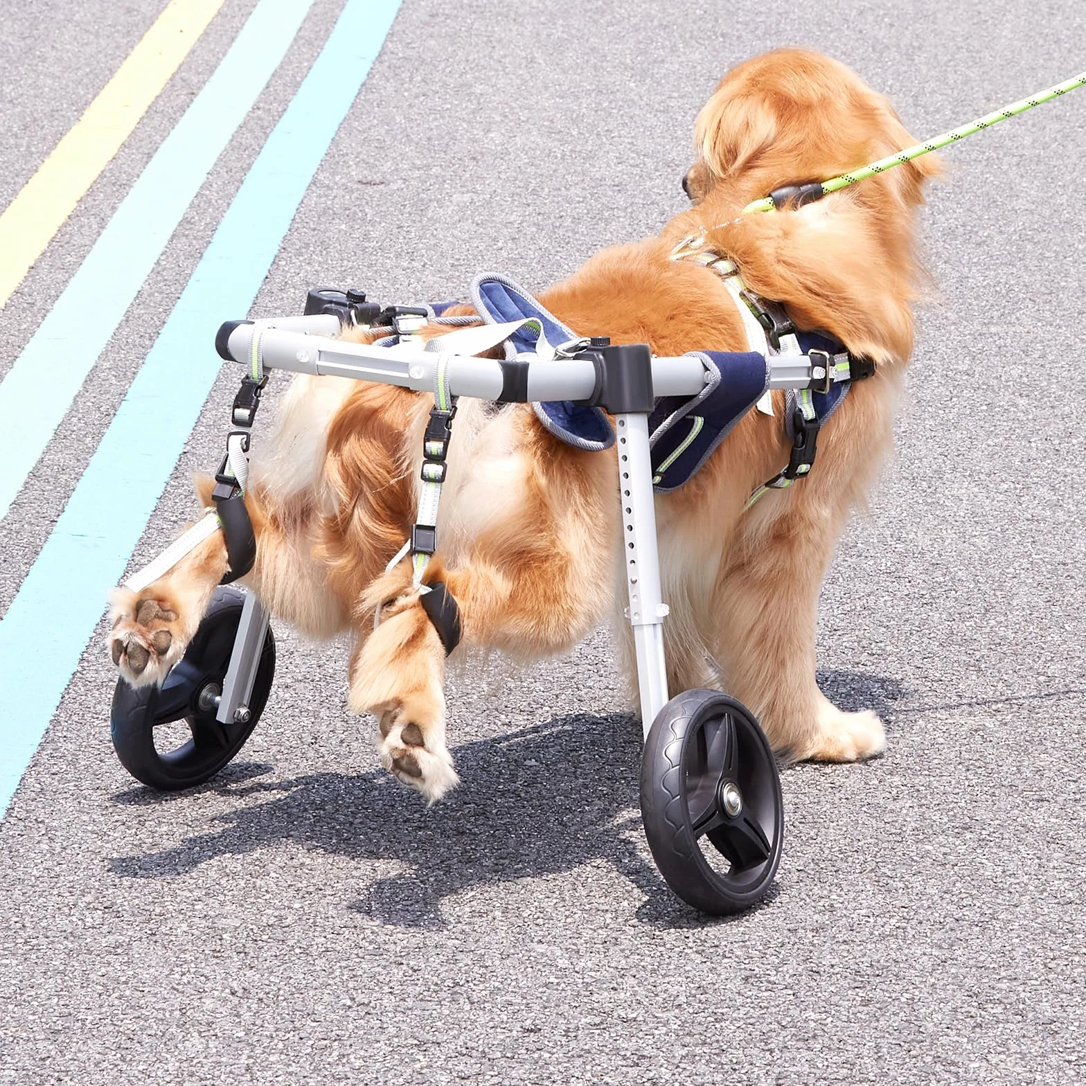 VEVOR Fauteuil Roulant pour Chien 2 Roues, Fauteuil Roulant pour Animaux de Compagnie Léger Réglable pour Guérison Membres Postérieurs