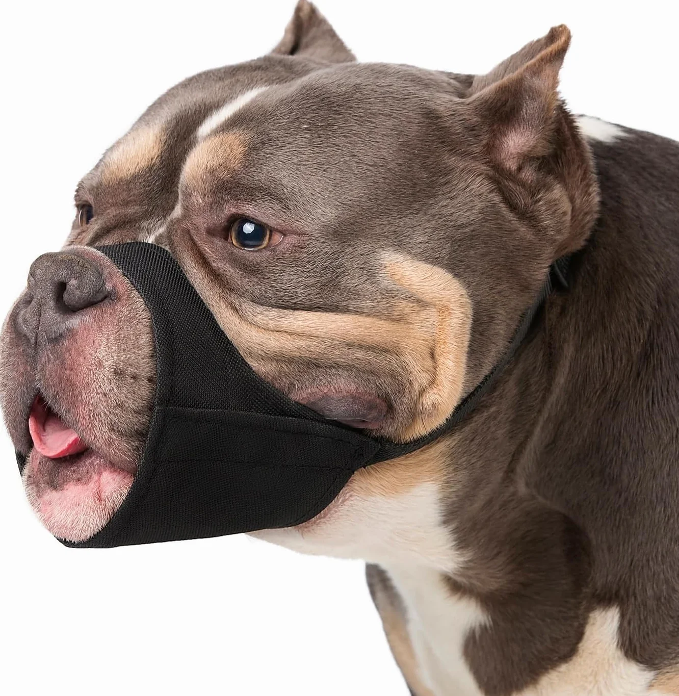 Muselière pour Chiens pour Pitbull Rottweilers American Bully Bulldog Boxers de Taille Moyenne et Grande à museau Court pour Le pour éviter Les morsures et Les aboiements pour Chiens