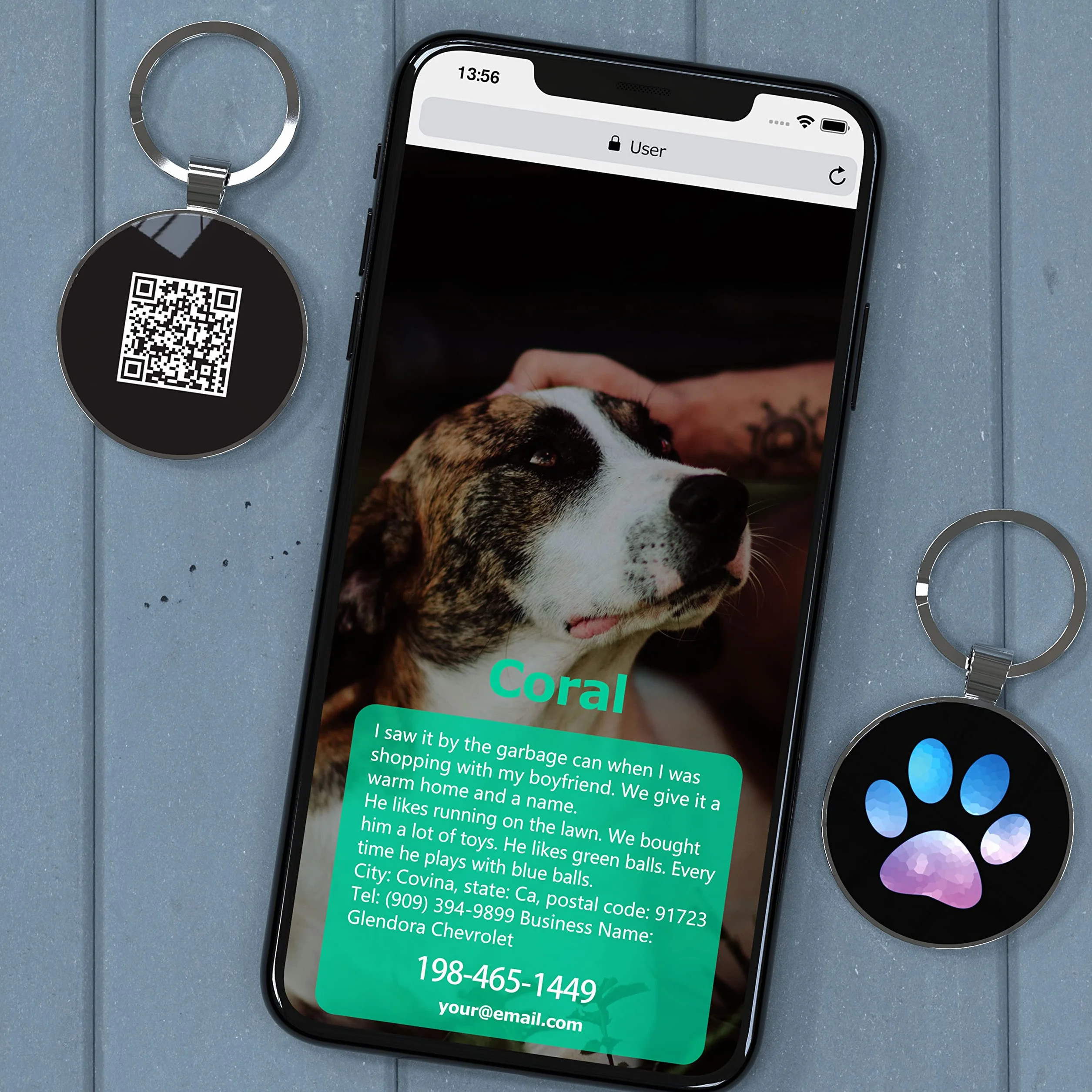 medaillon chien personnalisé，medaille pour chien， Médaille d'identification personnalisable pour animal de compagnie - Affichage d'informations unique - Modifiable
