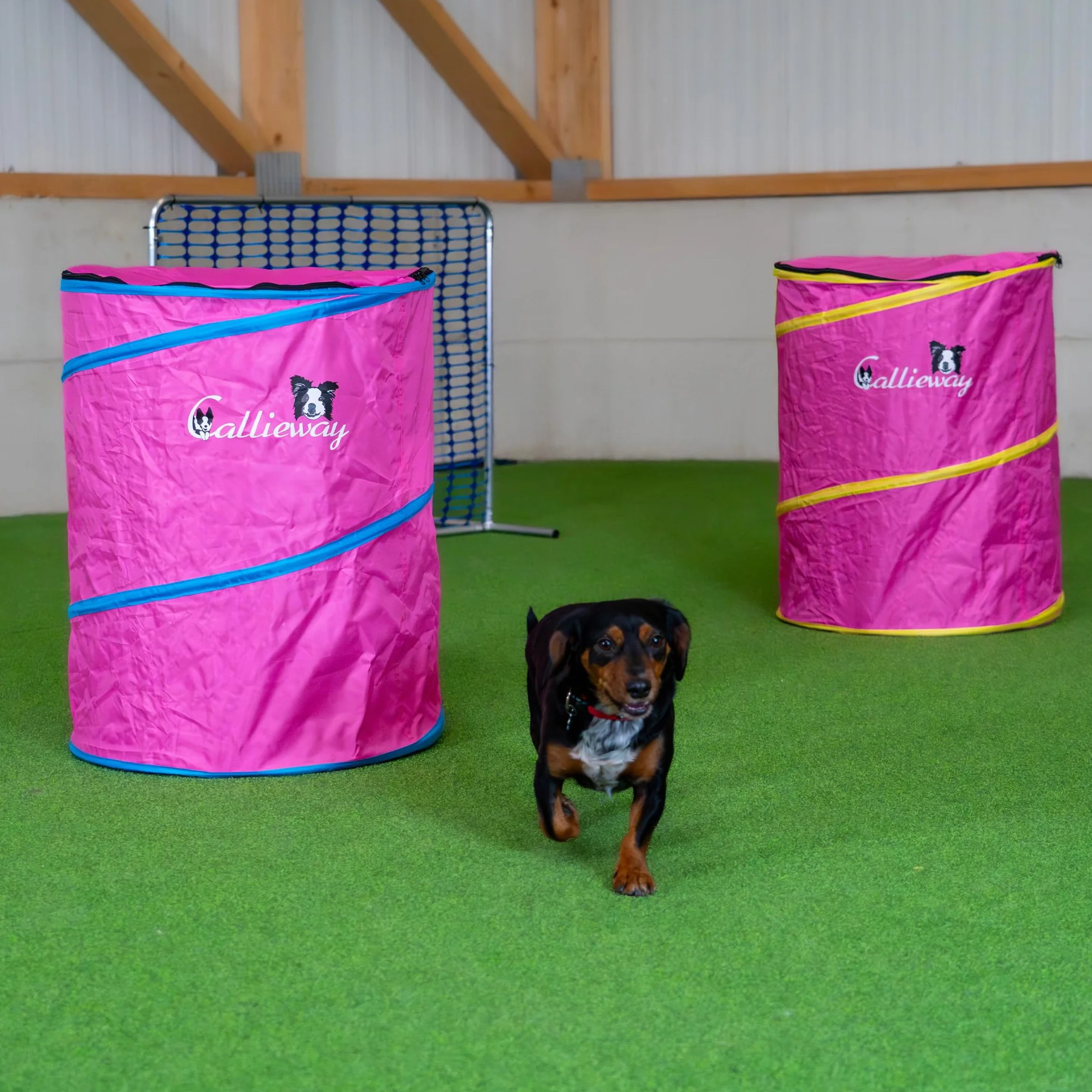 Callieway Hoopers Agility Barrel Tonneau d'entraînement pour chien lot de 2 bleu Fuchsia