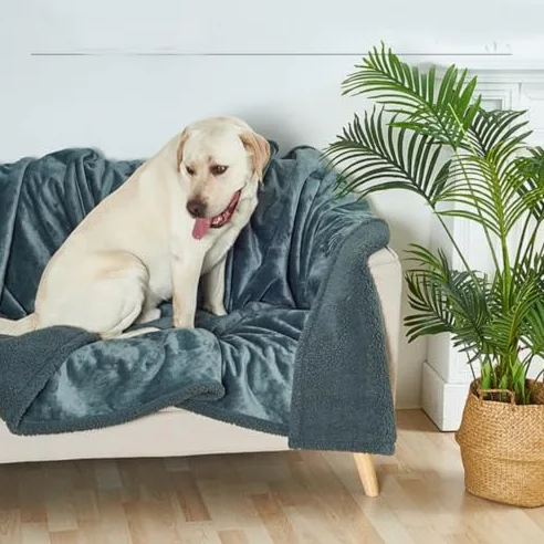 Couverture imperméable, couverture imperméable pour animal de compagnie, couverture pour chien, chat, chien, couverture de lit, lavable, couverture polaire pour protection de lit et meubles
