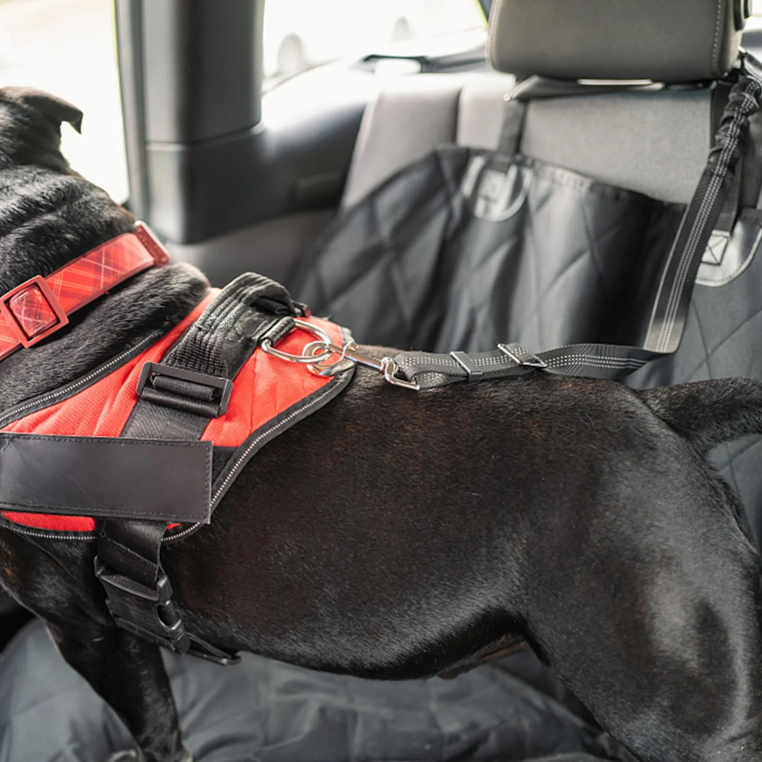 1Pièces Étirement Le Plus Long : 80 cm Ceinture Chien Voiture réglable avec,Attache Ceinture Chien Voiture,Laisse Voiture Chien,Harnais Voiture Chien en Elastique,pour Chiens et Chats-Noir