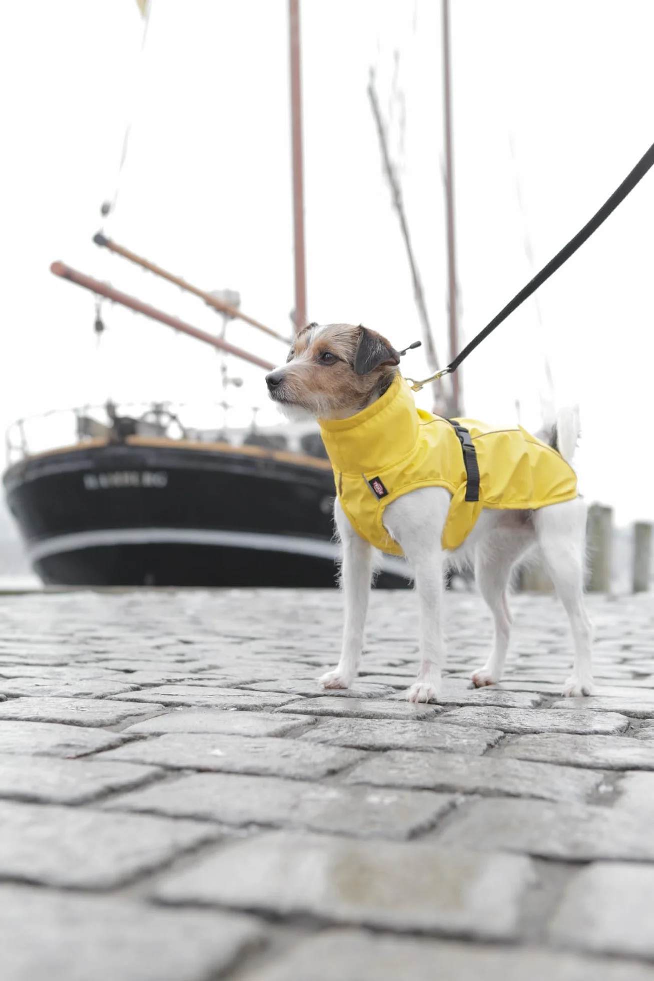 Trixie Vimy imperméable chien S jaune 40-61 cm tour de ventre 40 cm dos réfléchissant réglable