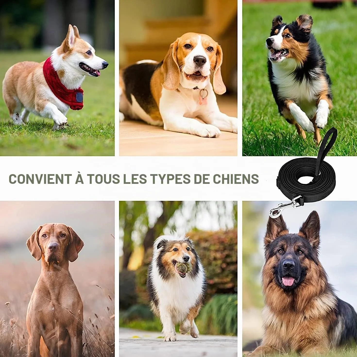 Longe pour Chien 20m Noir - Laisse de Dressage Longue pour Petites à Grandes Tailles
