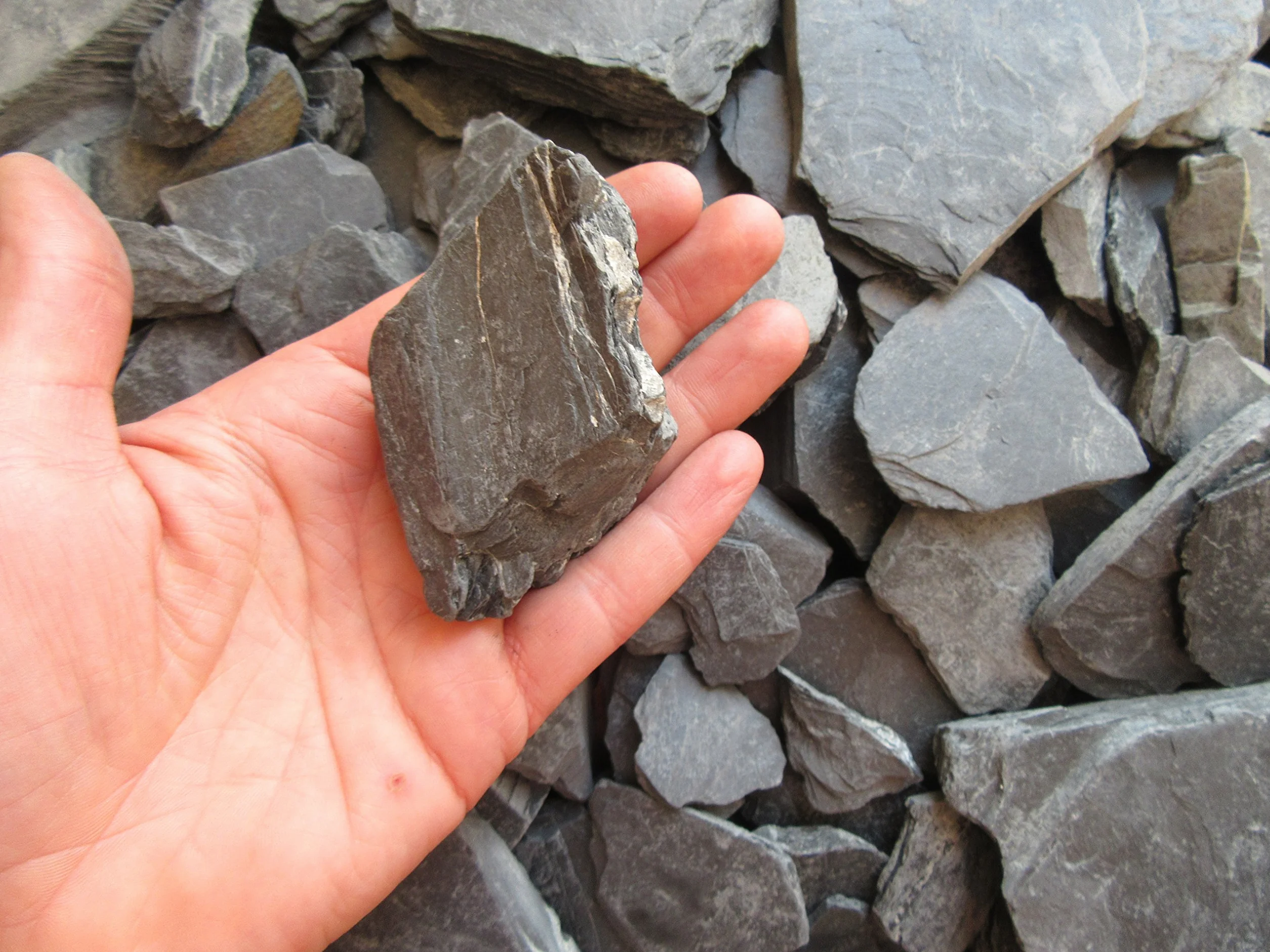 1 kg d'éclats d'ardoise - Plaques d'ardoise d'environ 30 mm - 60 mm - Au choix 5 kg - 10 kg - 20 kg