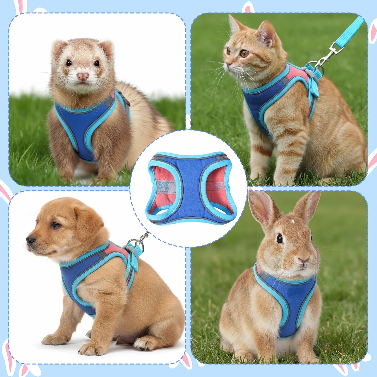 Harnais souple pour lapin avec laisse réglable pour lapin - Accessoires pour chatons - Harnais pour chats et autres petits animaux de compagnie - Bleu, M