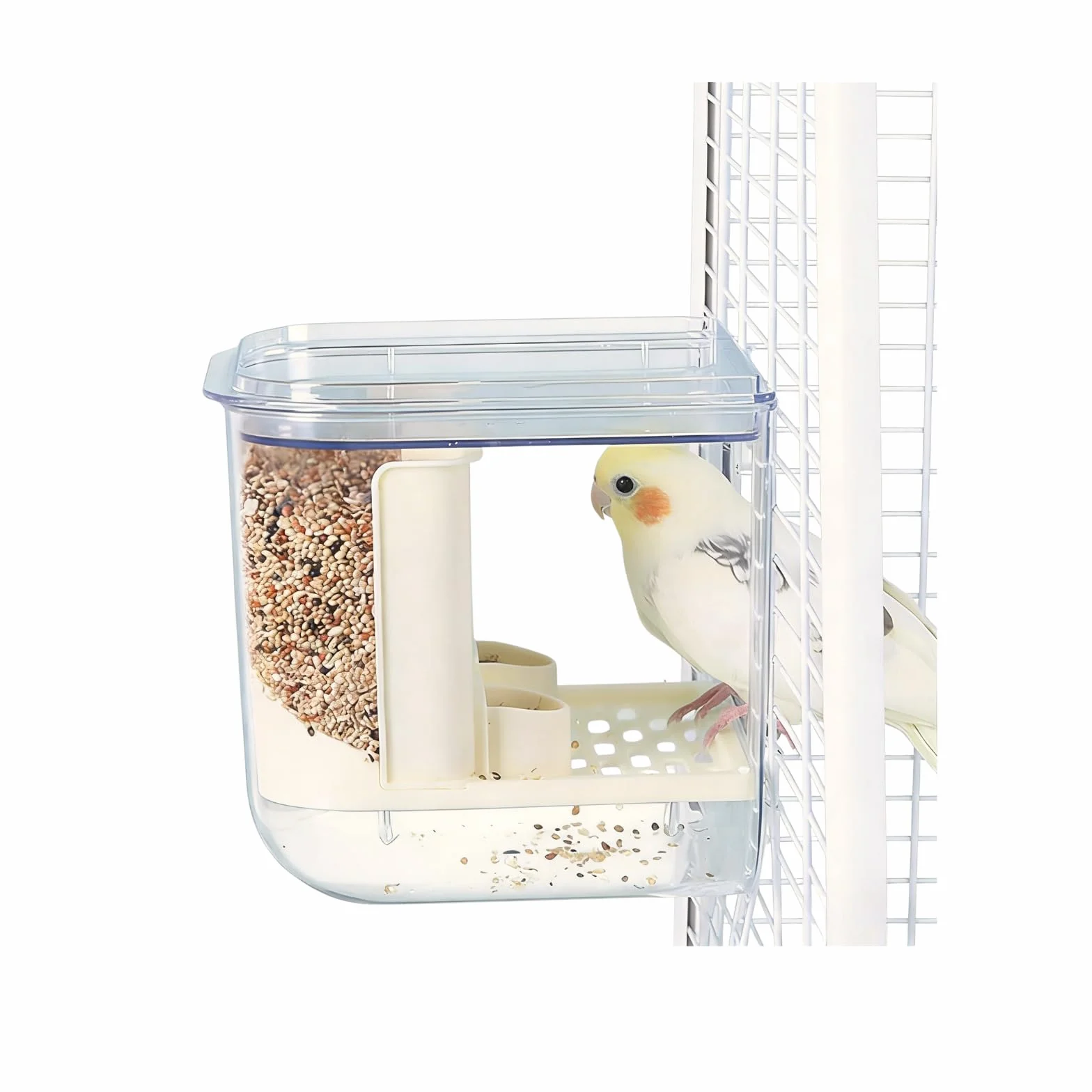 Bain d'oiseaux suspendu pour cage petite et moyenne taille perroquets inséparables pinsons perruches