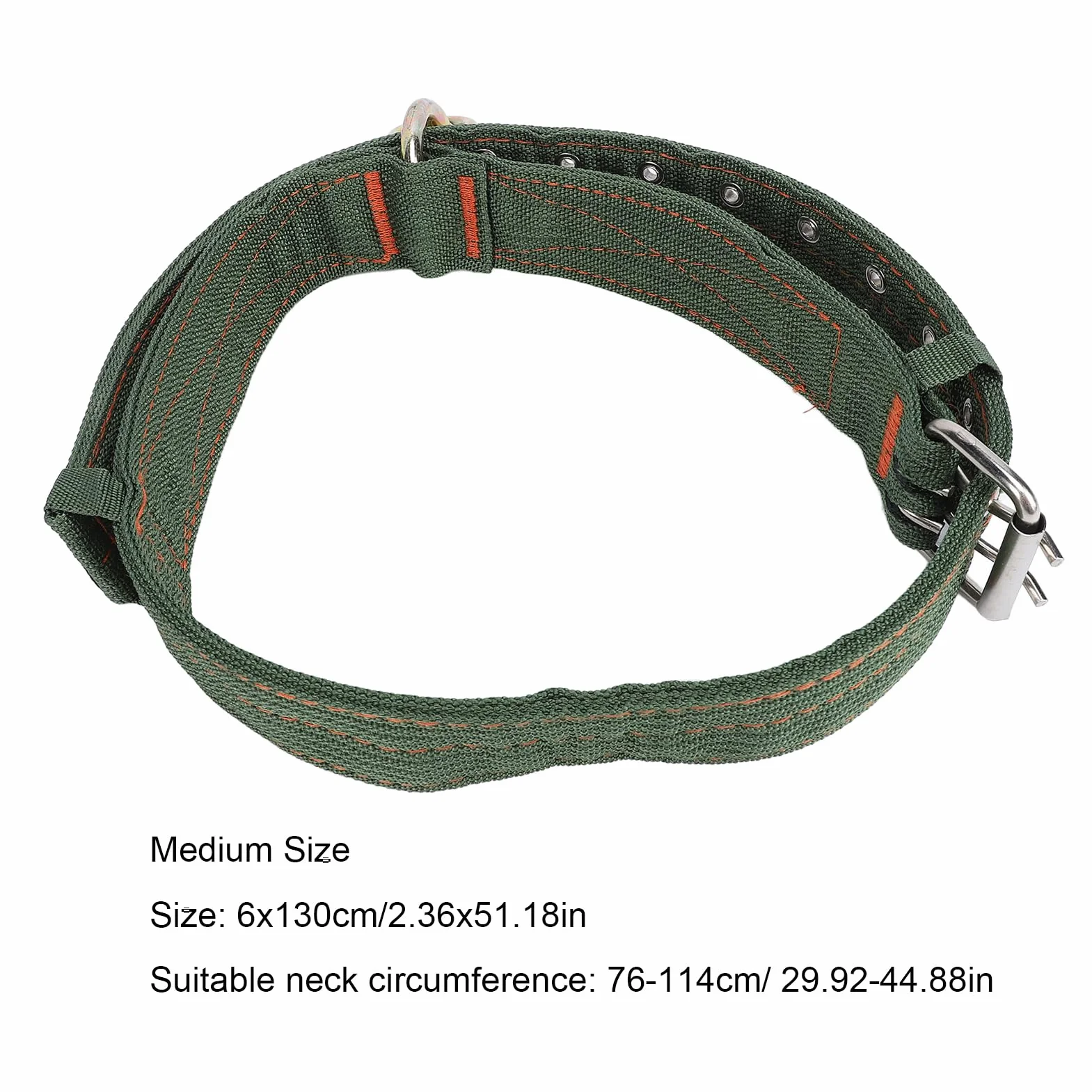 Collier pour bovins en Nylon épais avec Boucle en métal et chaîne de Traction pour Chevaux, Chiens et Animaux de Ferme (Taille Moyenne)