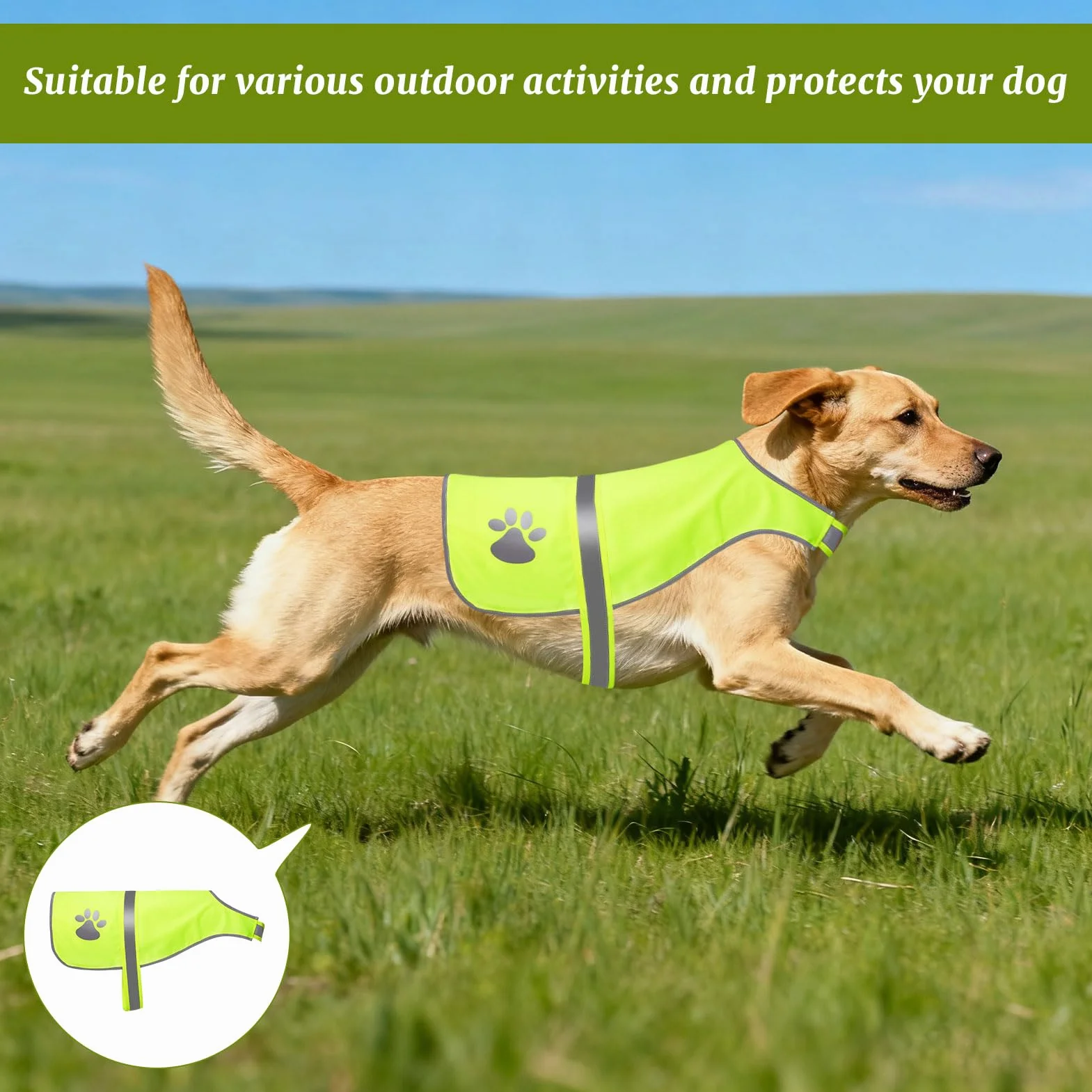 Gilet Jaune Chien Fluo Réfléchissant pour Promenades Nocturnes Petit Grands Chiens
