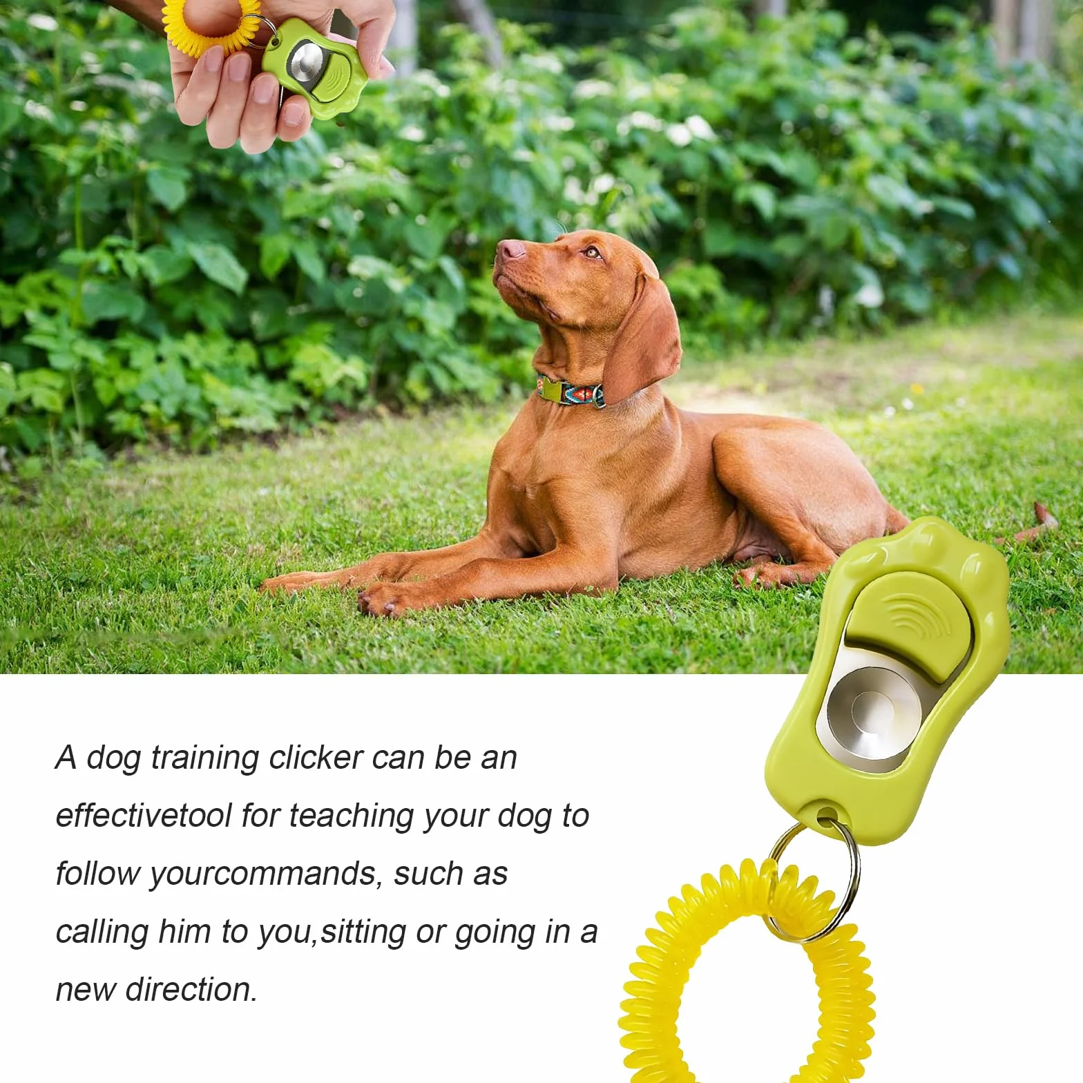 2 Pcs Sifflet Ultrason Chien, Clicker Dressage pour Chien, Clicker Training pour Animaux à Fréquence Ajustable (avec Laniette), pour Chien, Chat, Oiseau, Lapin (Vert Sauge/Gris Bleu)