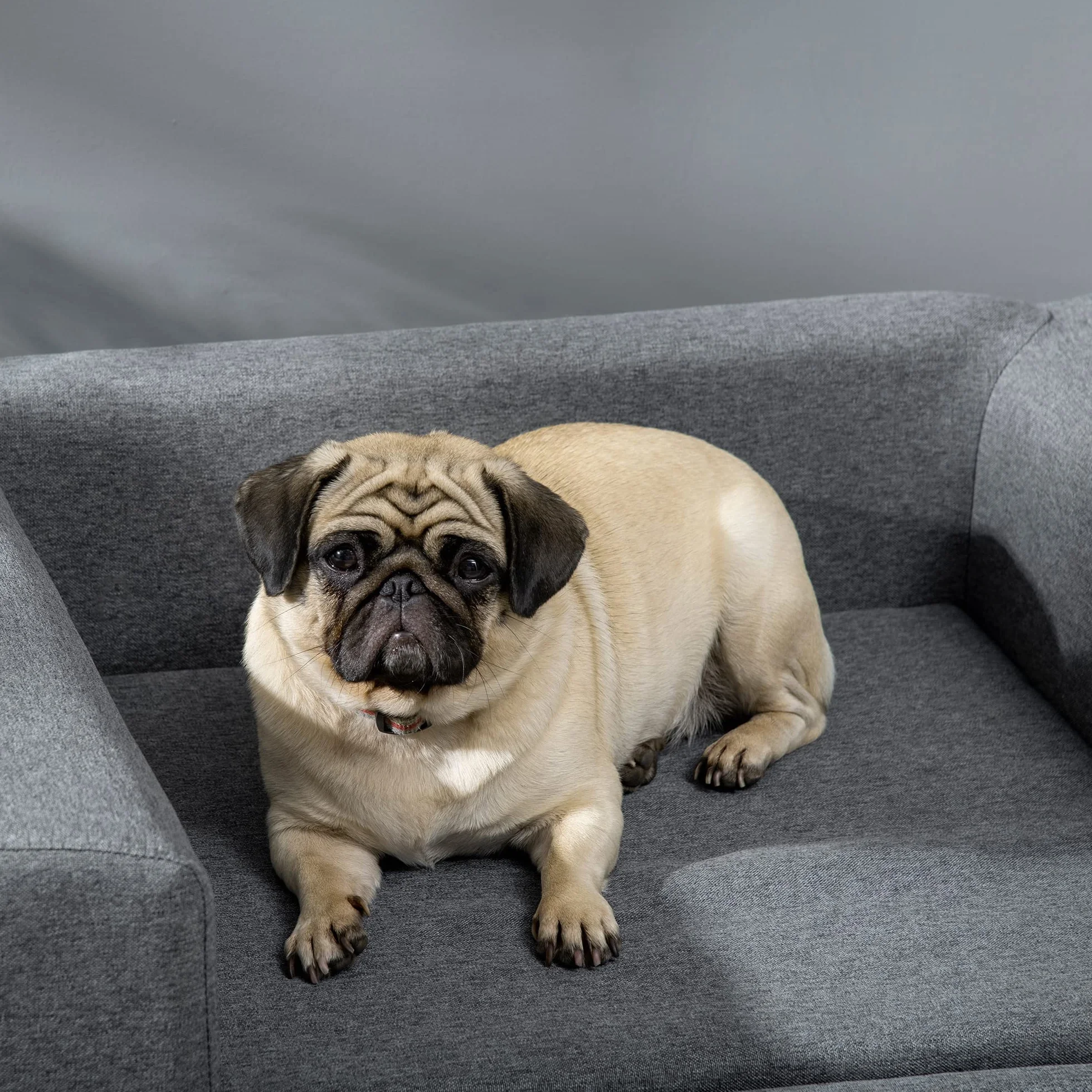 PawHut Canapé Chien Lit Scandinave Pieds Bois Massif 87x61x36 cm Polyester Gris