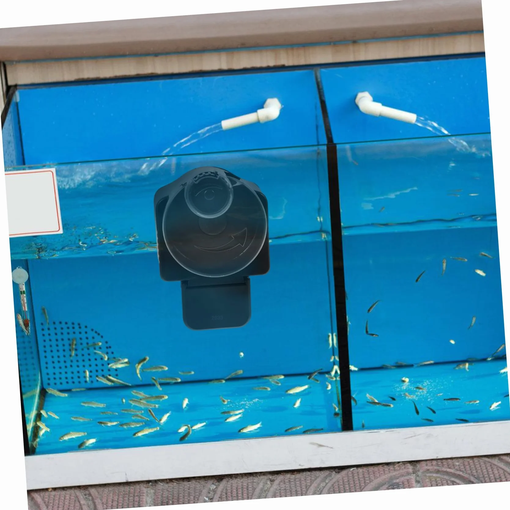 Distributeur Automatique pour Poissons Aquarium sans Piles VICASKY
