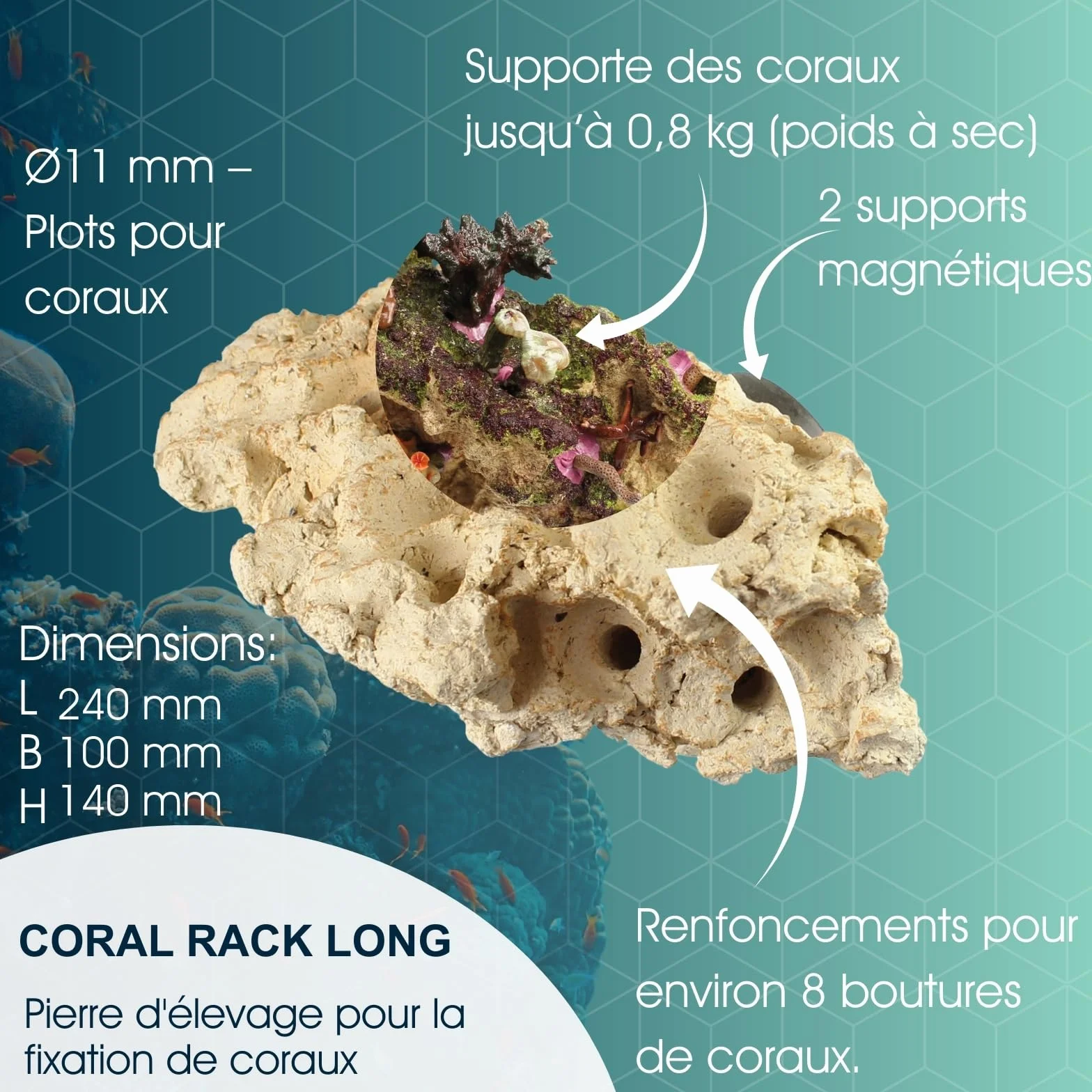 Tunze Coral Rack Long 0104.820