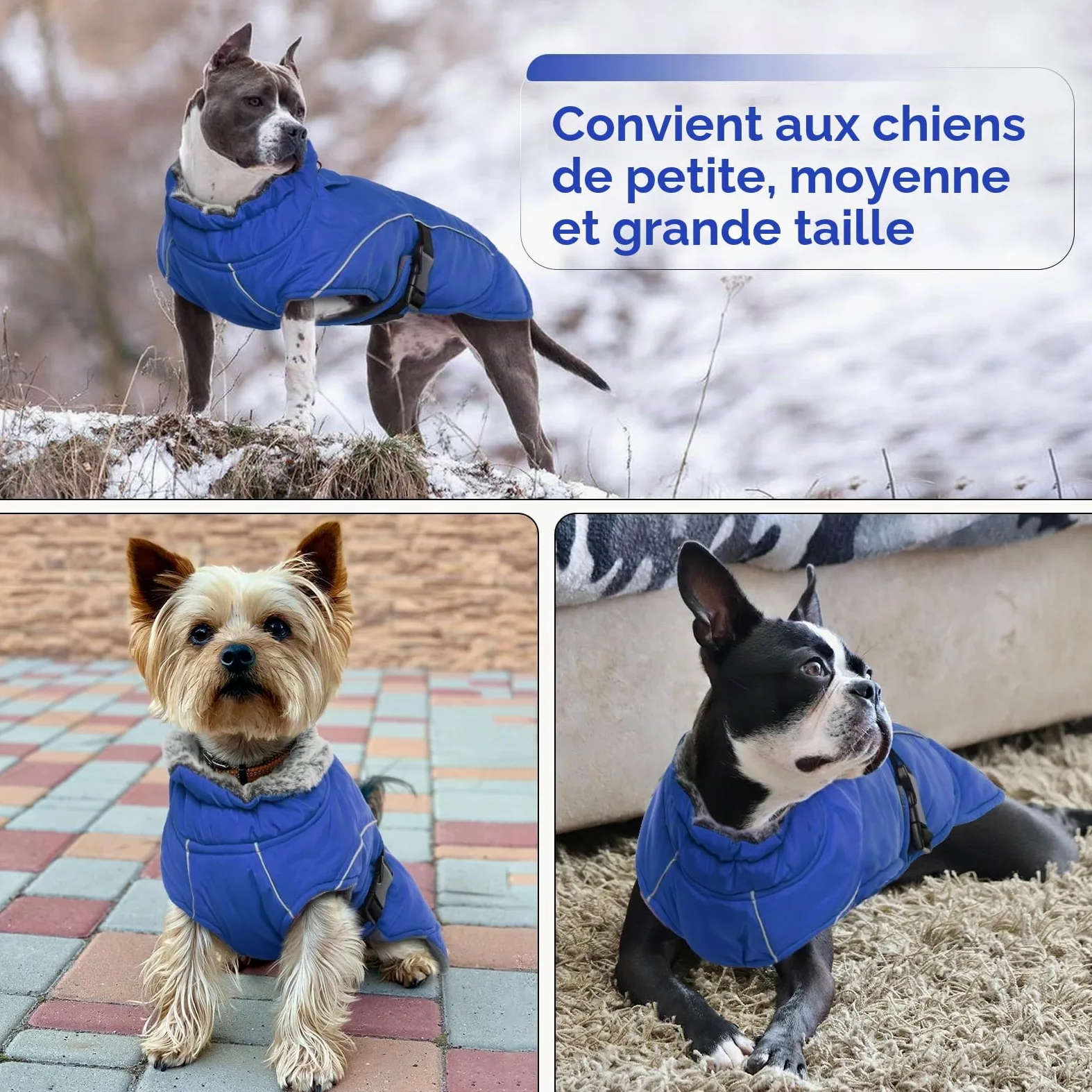Manteau d'Hiver Chaud pour Chien - Veste Polaire Imperméable Coupe-Vent Réglable - Habit de Neige pour Temps Froid - Gilet Vêtements d'Hiver (Bleu, 3XL)