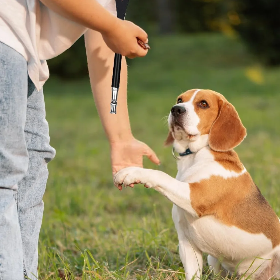 Sifflet Ultrason Chien Anti Aboiement 2 Pièces avec Lanière Dressage Canin