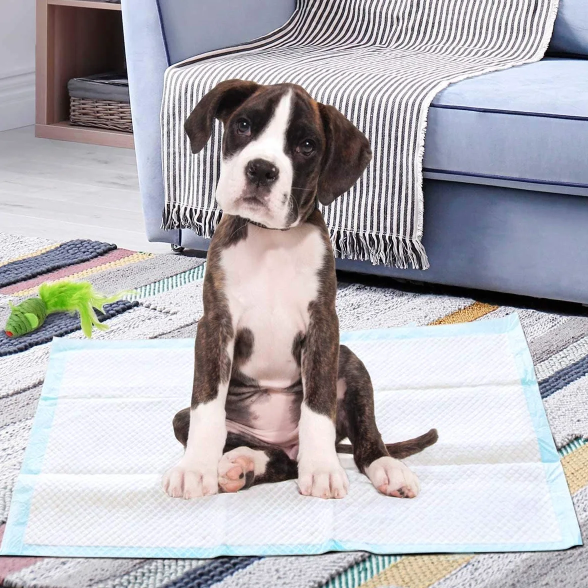 FANTASK Lot de 100 Tapis d'entraînement jetables pour Chiot - Design Anti-Fuite à 5 Couches - 60 x 90 cm