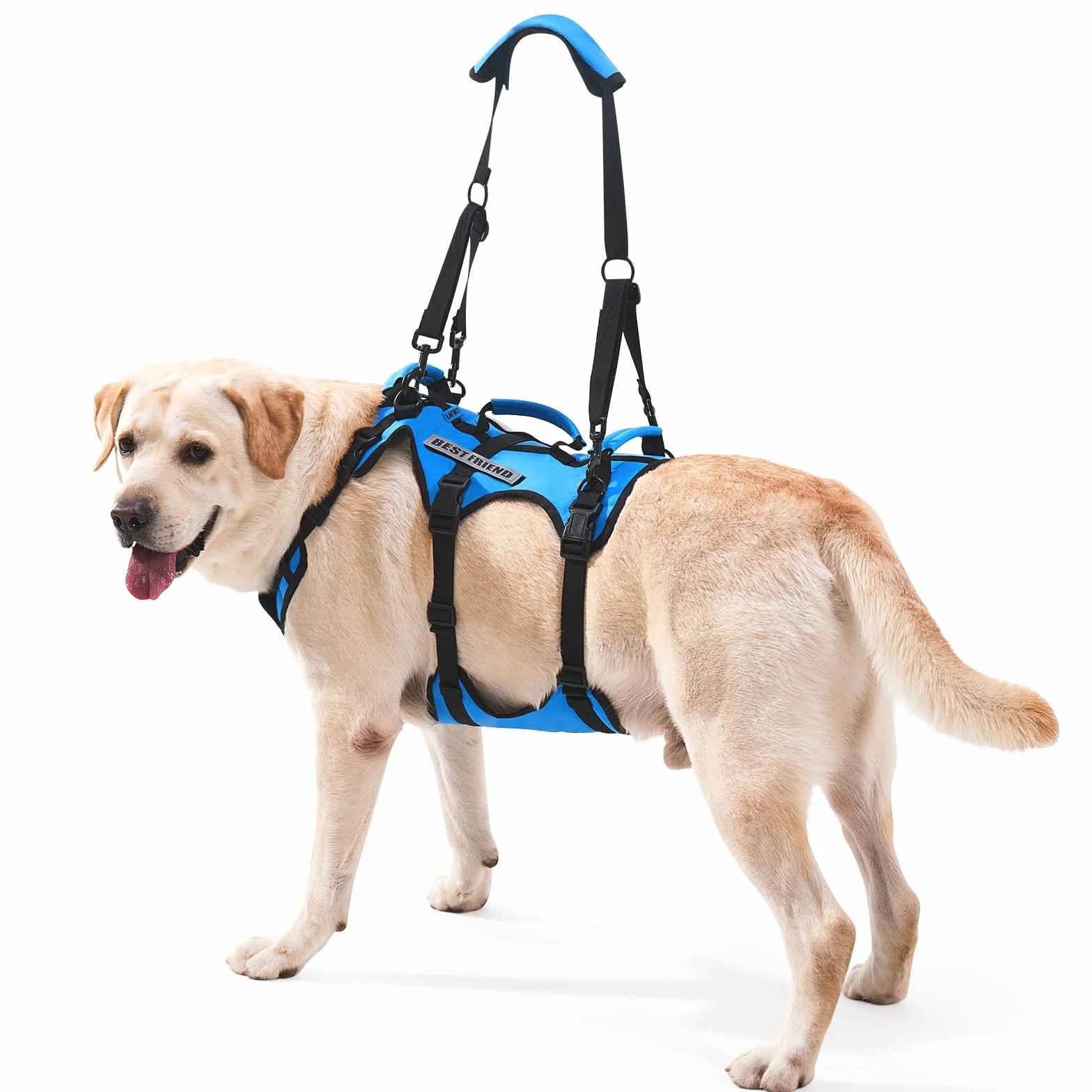 Harnais de Levage pour Grand Chien, Soutien Complet avec 3 Poignées, Sangle d'Épaule, Aide à la Marche pour Chiens Seniors, Arthrite, Bleu, XL