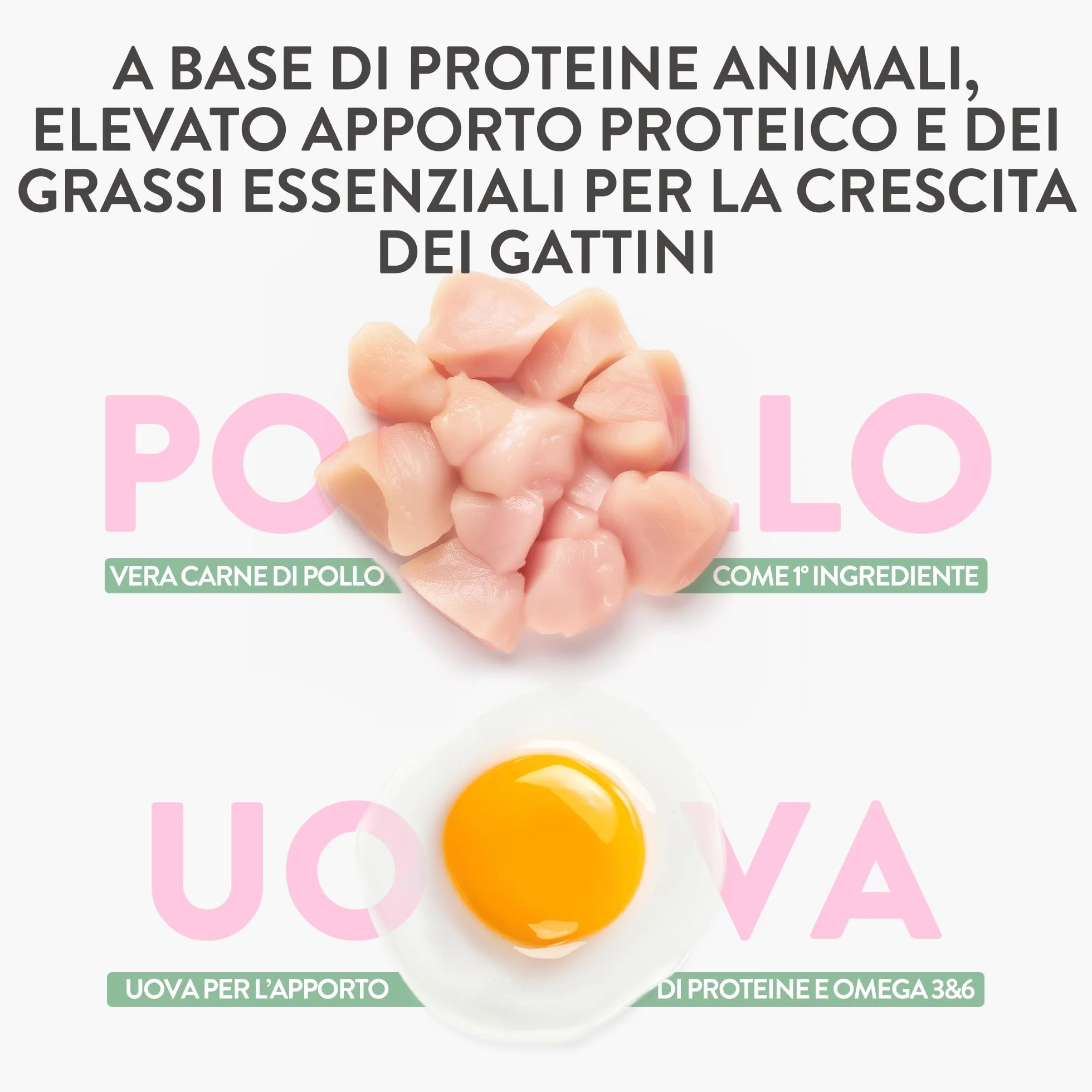 Schesir Born Carnivore Baby Croquettes Poulet et Œuf pour Chatons, Cuites au Four 1,25 kg