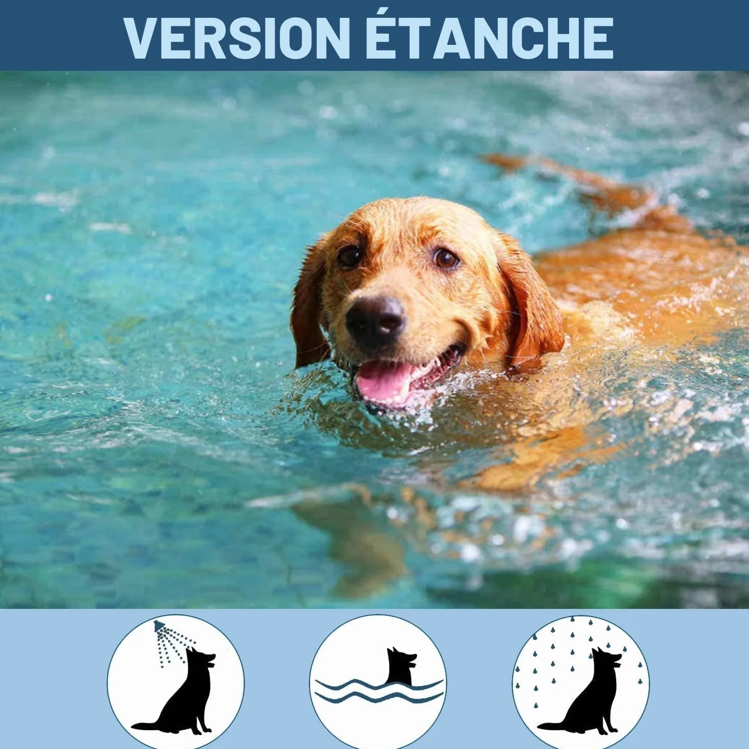 Lot de 2 colliers antiparasitaires pour chiens 8 mois de protection 63 cm collier anti-puces chien antiparasitaire chien chat réglable étanche