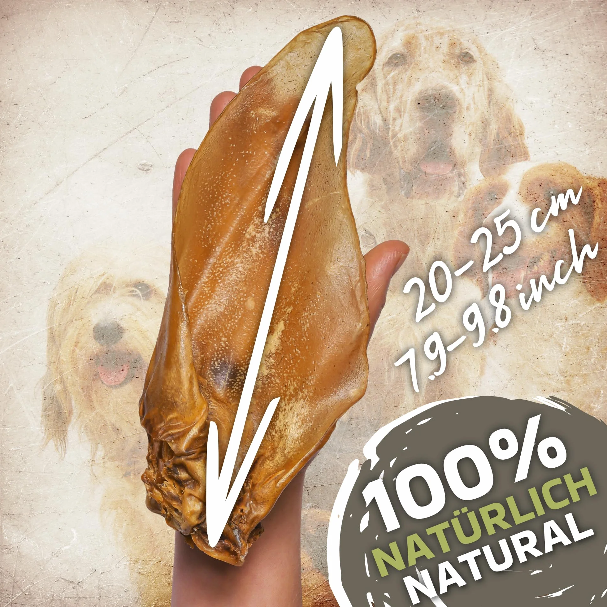 Oreilles de boeuf naturelles pour chien 10 pièces 700 g collation longue mastication soins dentaires sans additifs