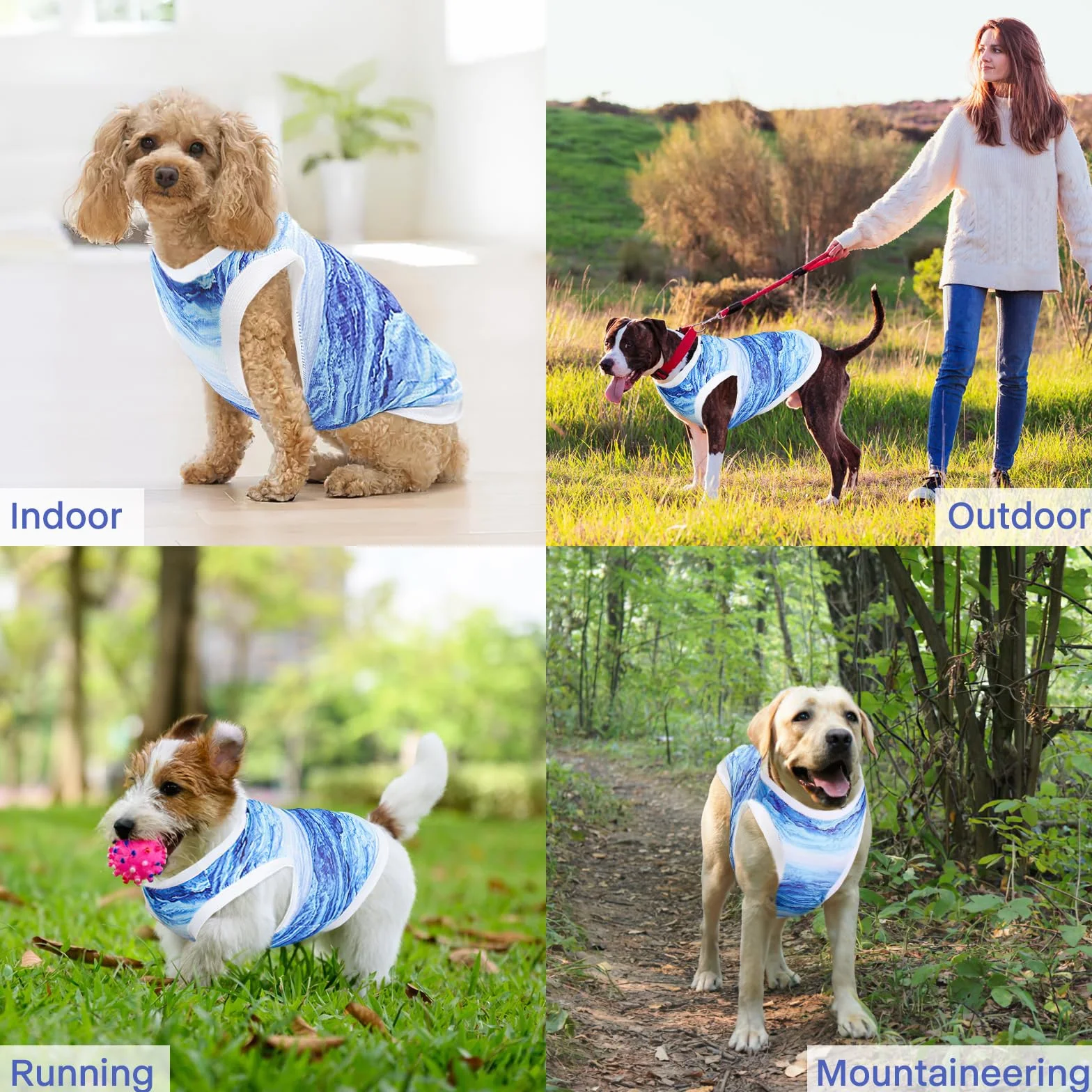 Gilet Rafraîchissant pour Chien, Veste de Refroidissement Respirante Bleu L