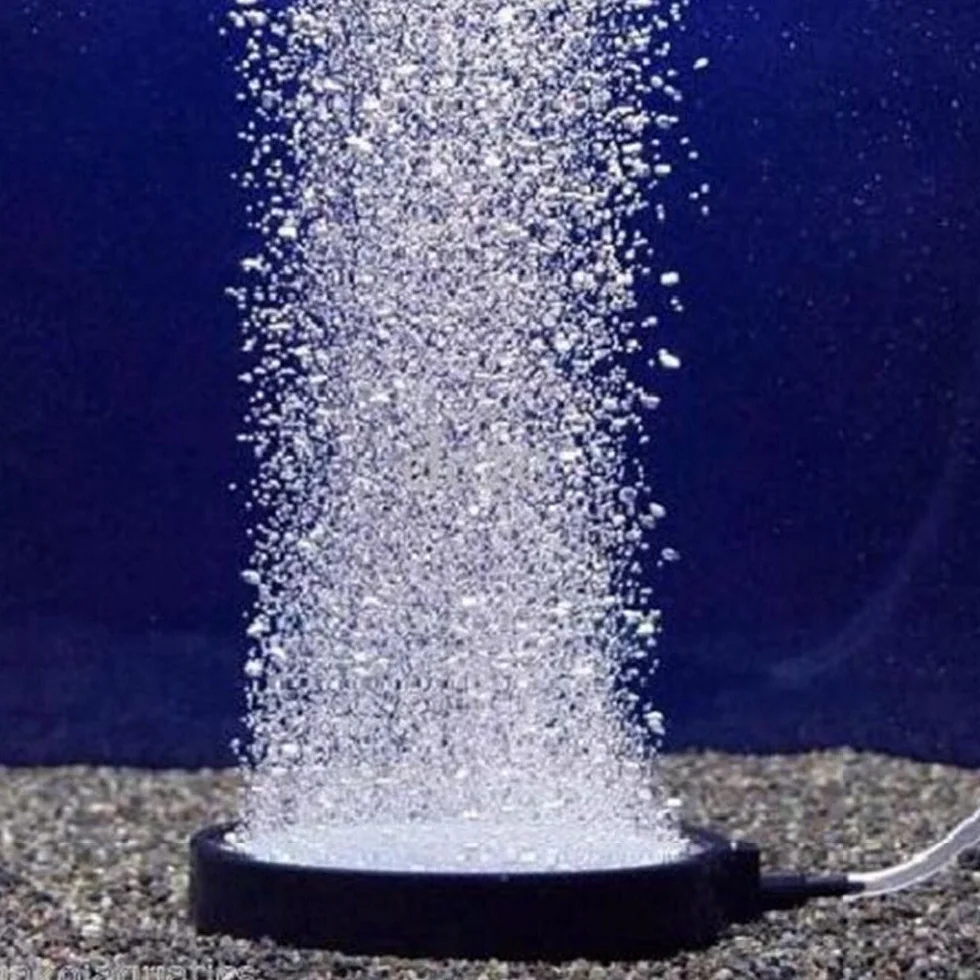 DIGIFLEX Disque de Pierre en Carborundum pour Aquarium