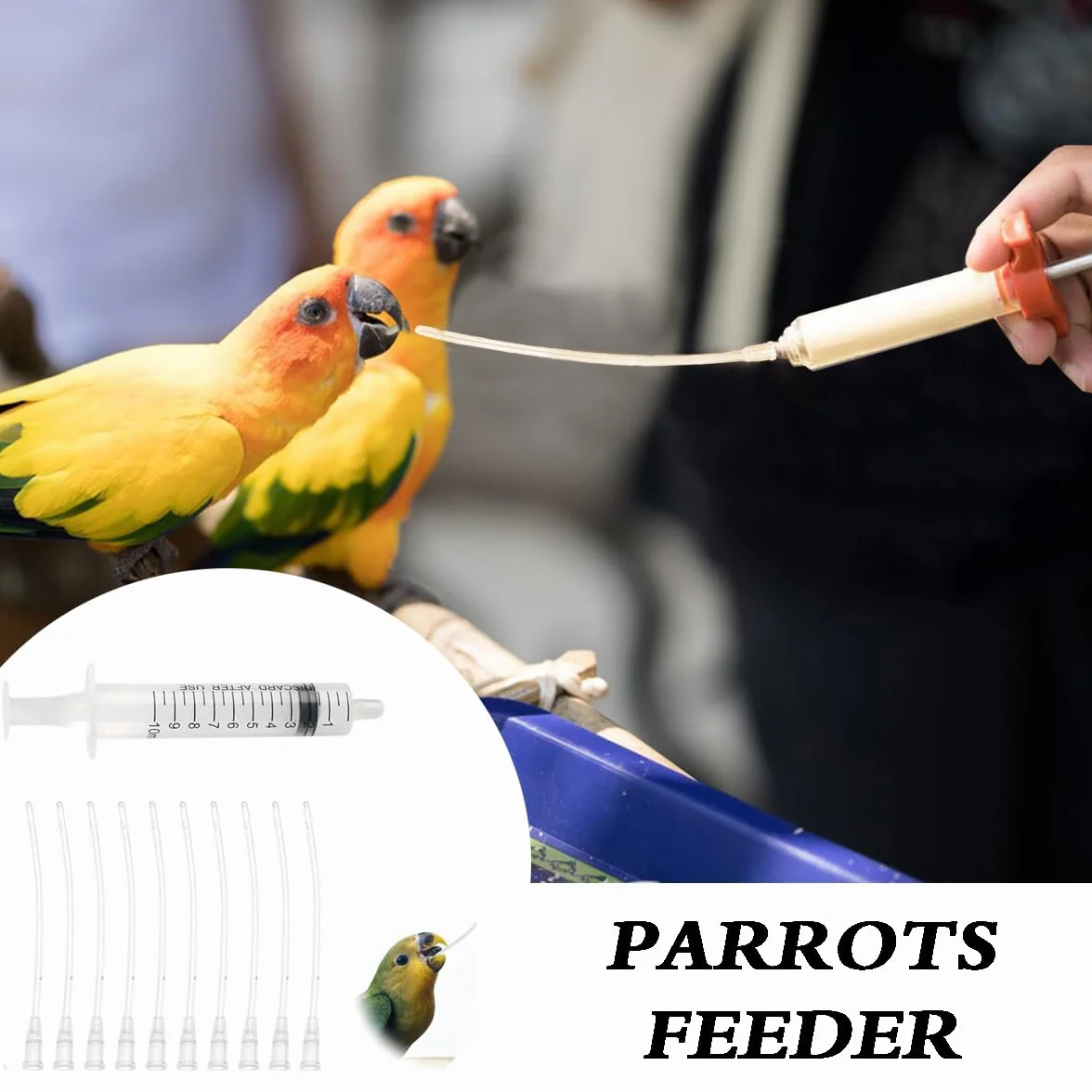 Seringue Alimentaire 10 ML pour Oiseaux avec 10 Tubes d'Alimentation pour Perroquets et Petits Animaux