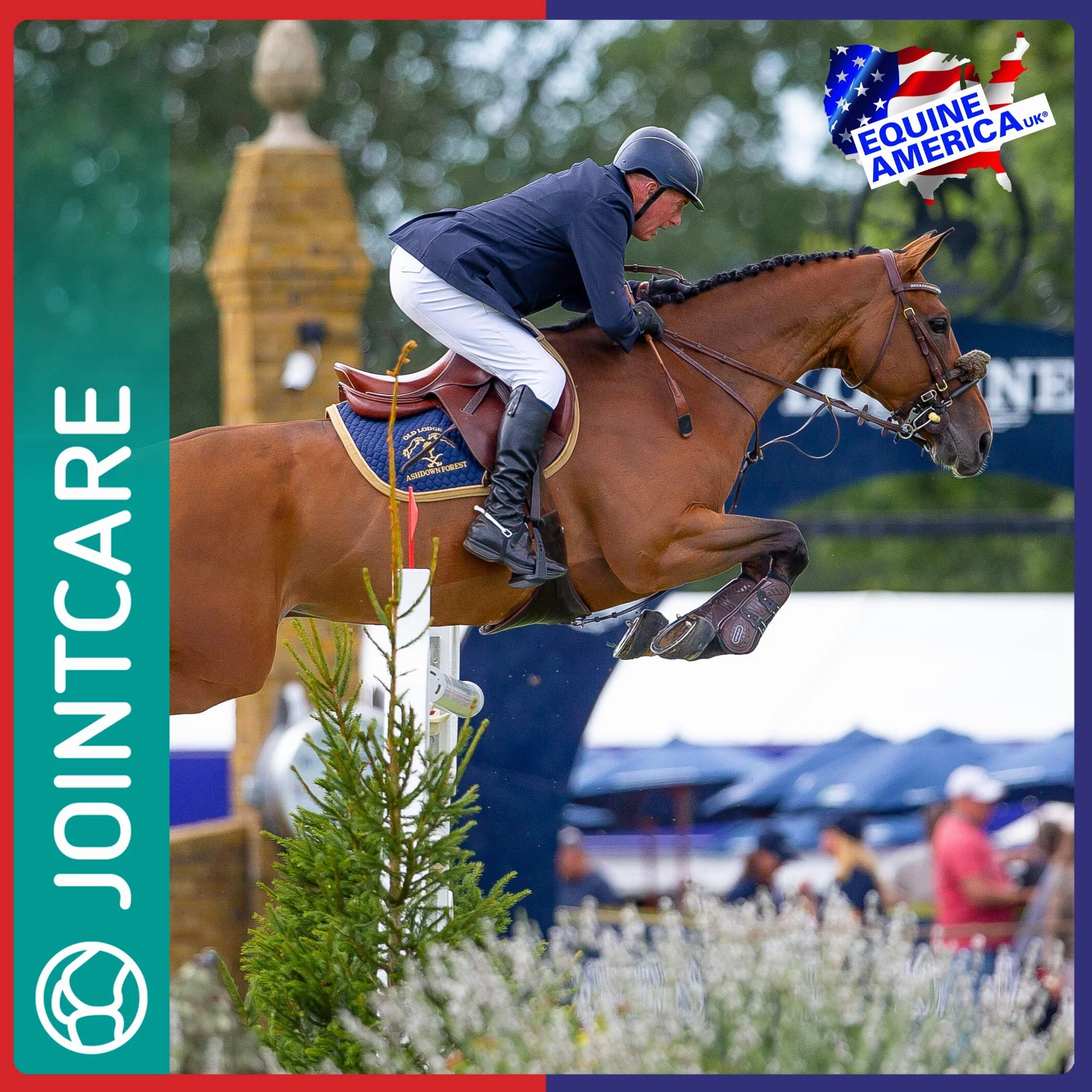 Equine America Cortaflex HA Super Fenn Poudre Super Forte supplément cheval 500g