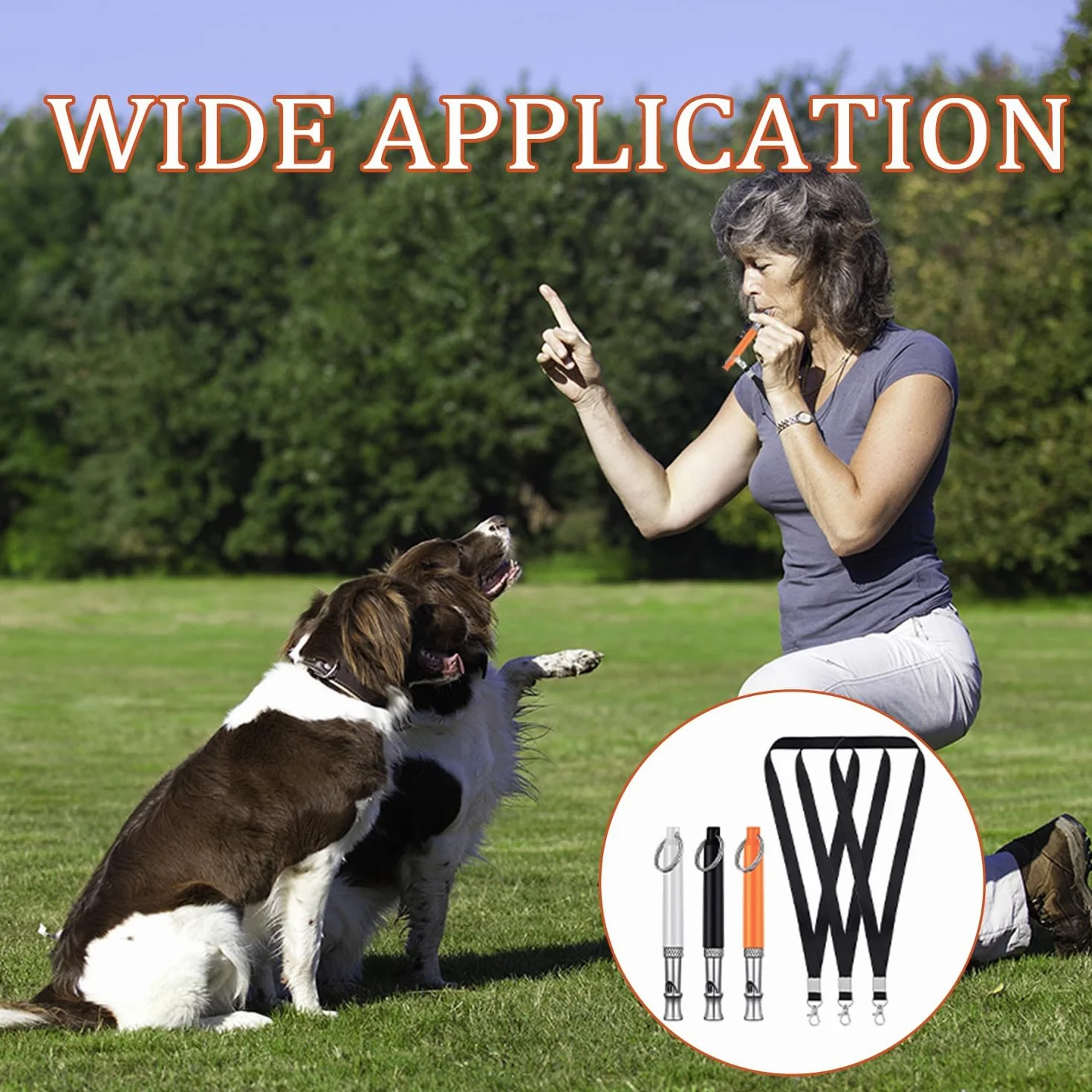 Sifflet Ultrason Chien Anti Aboiement Haute Fréquence Dressage 3 Paquets