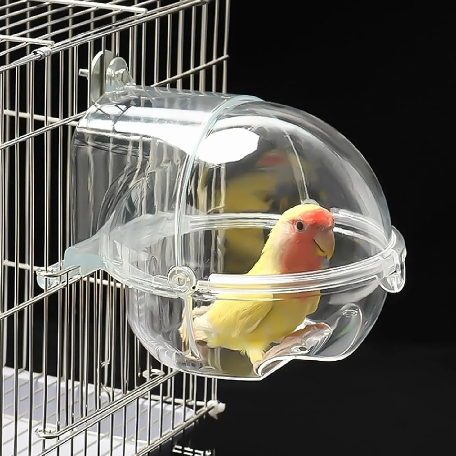 Baignoire pour Oiseaux Transparente pour Cage et Perroquet