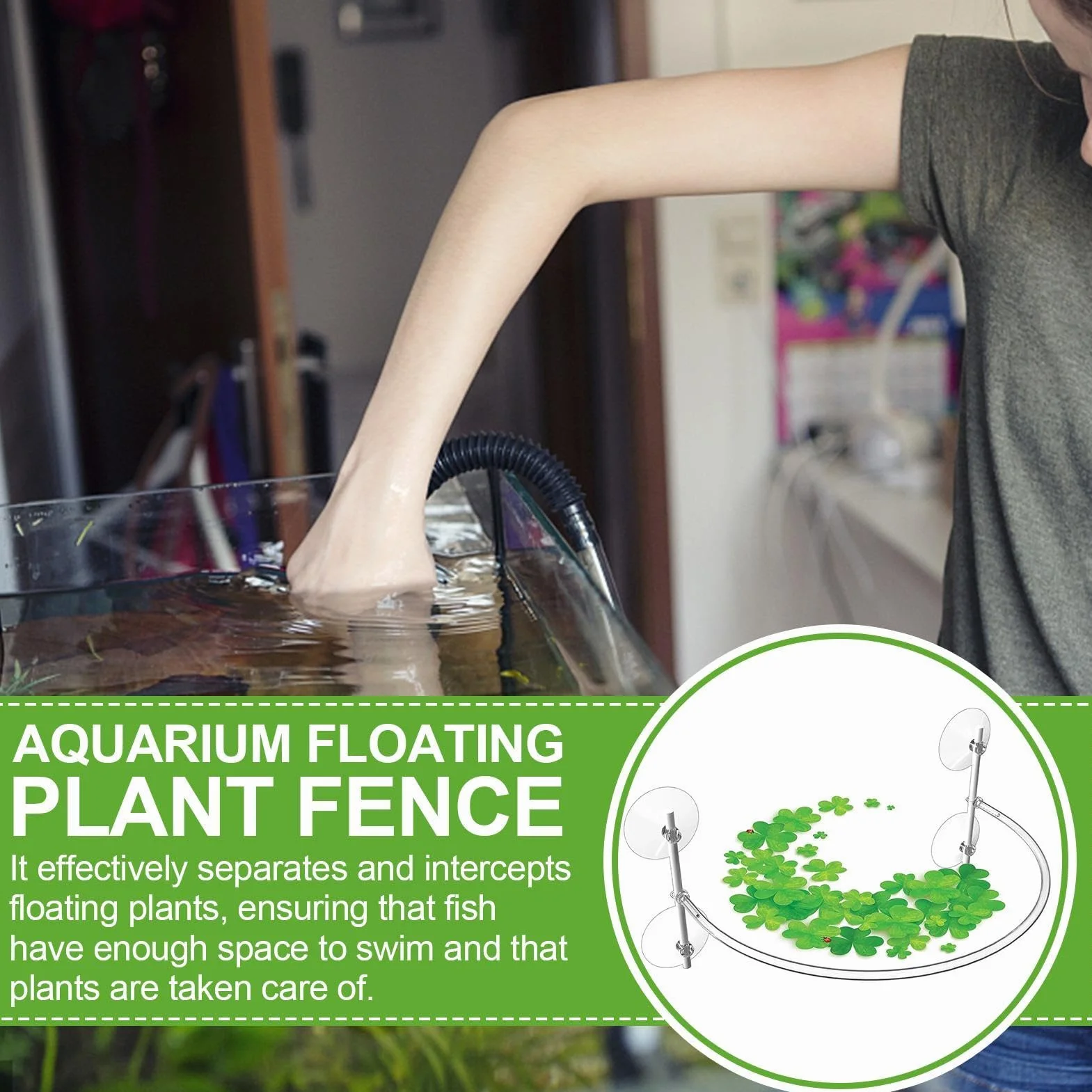 Anneau flottant pour plantes d'aquarium - Accessoire de protection et alimentation