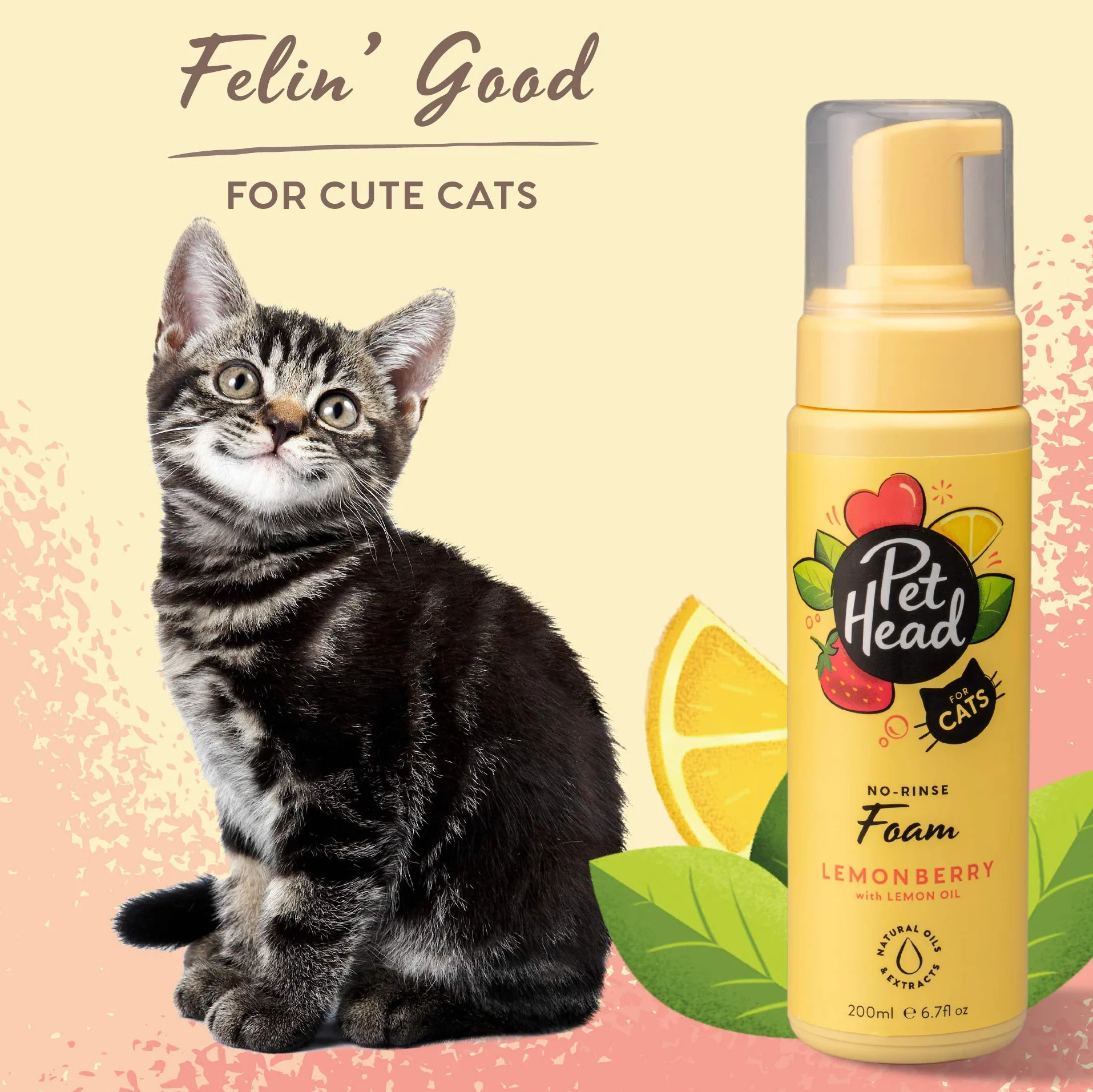 Pet Head Felin' Good Mousse sans rinçage pour Chats 200 ml Shampoing sec parfum fruité aloe vera