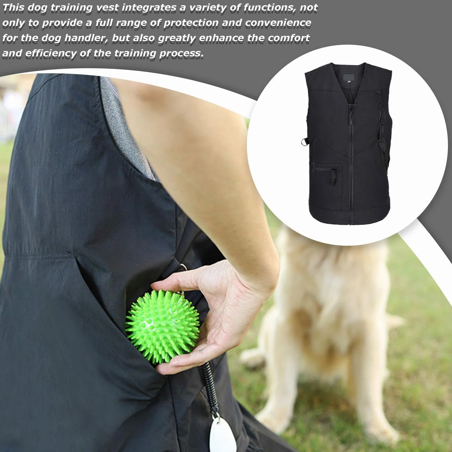 Gilet de Dressage pour Chien, Tissu de Protection avec Boutons réglables