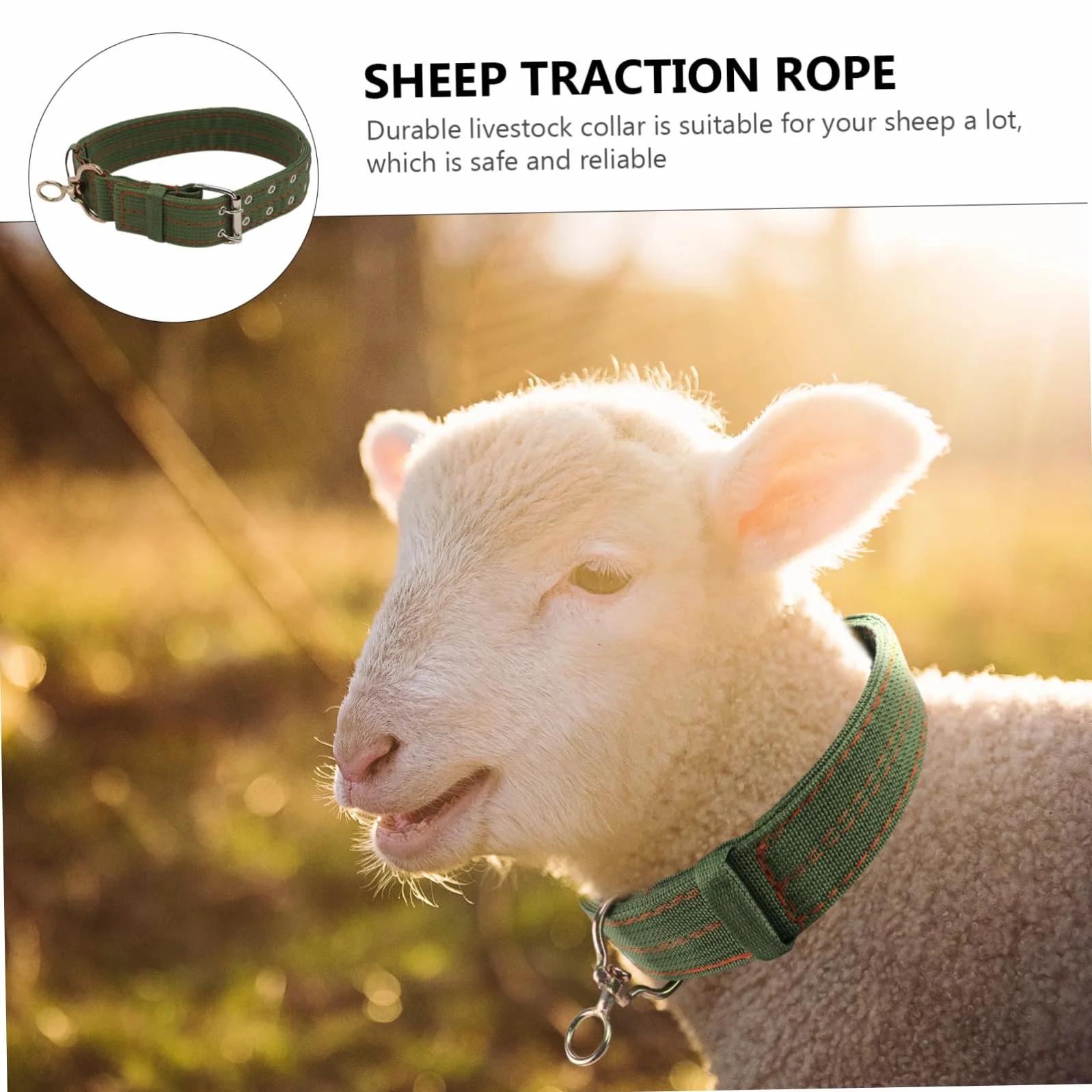 Collier pour Moutons en Toile Vert, Boucle Anti- Confortable, Réglable pour Animaux D'élevage, Traction et L'attache du Bétail