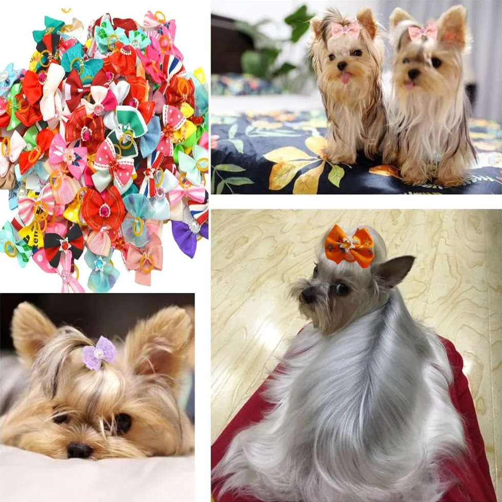 Nœuds pour chiens avec élastiques, Lot de 30, Styles d'arcs Multiples, Accessoires de Toilettage
