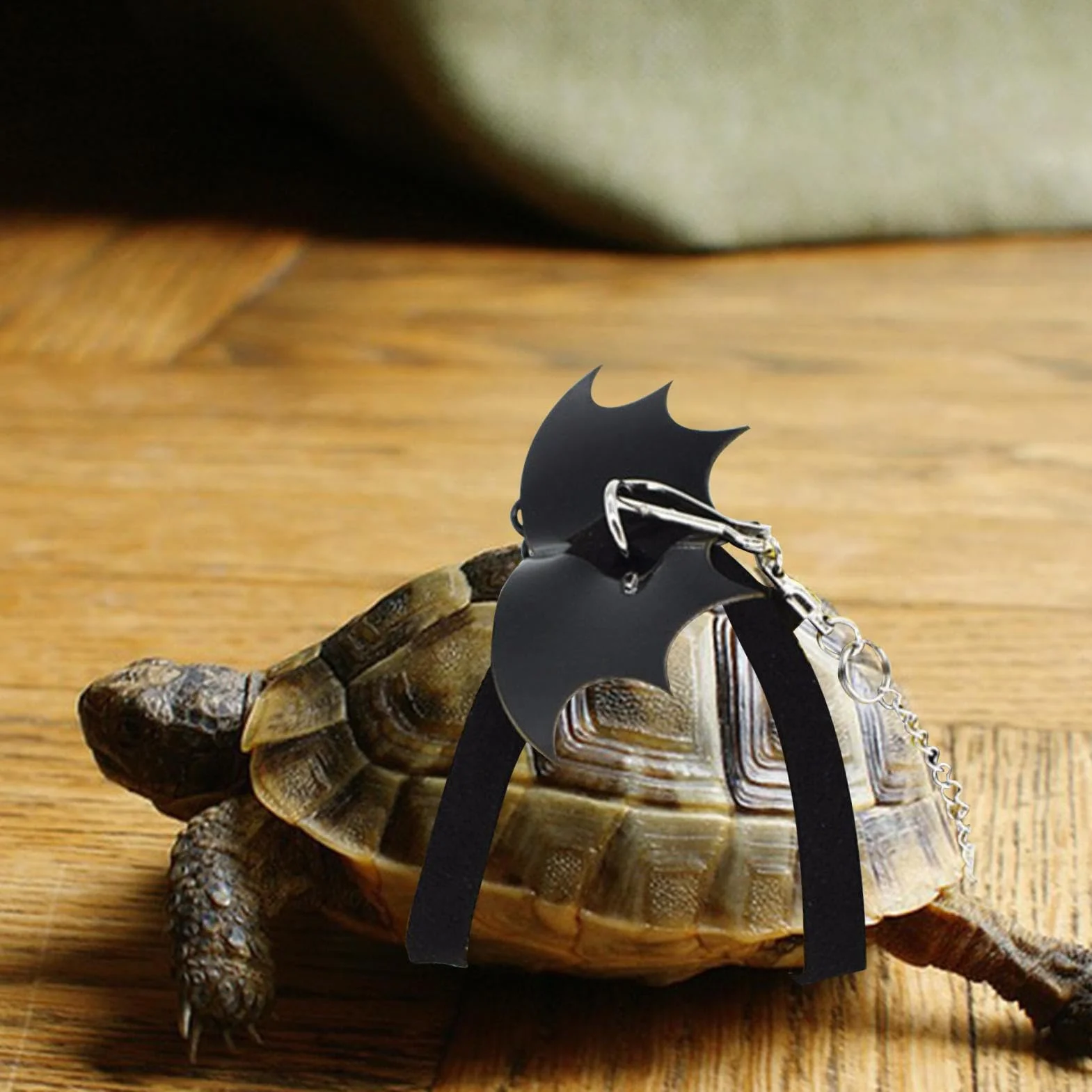 Harnais Tortue avec Aile Sangle Lézard Traction Cor Petit Animal Gilet Style pour Extérieur