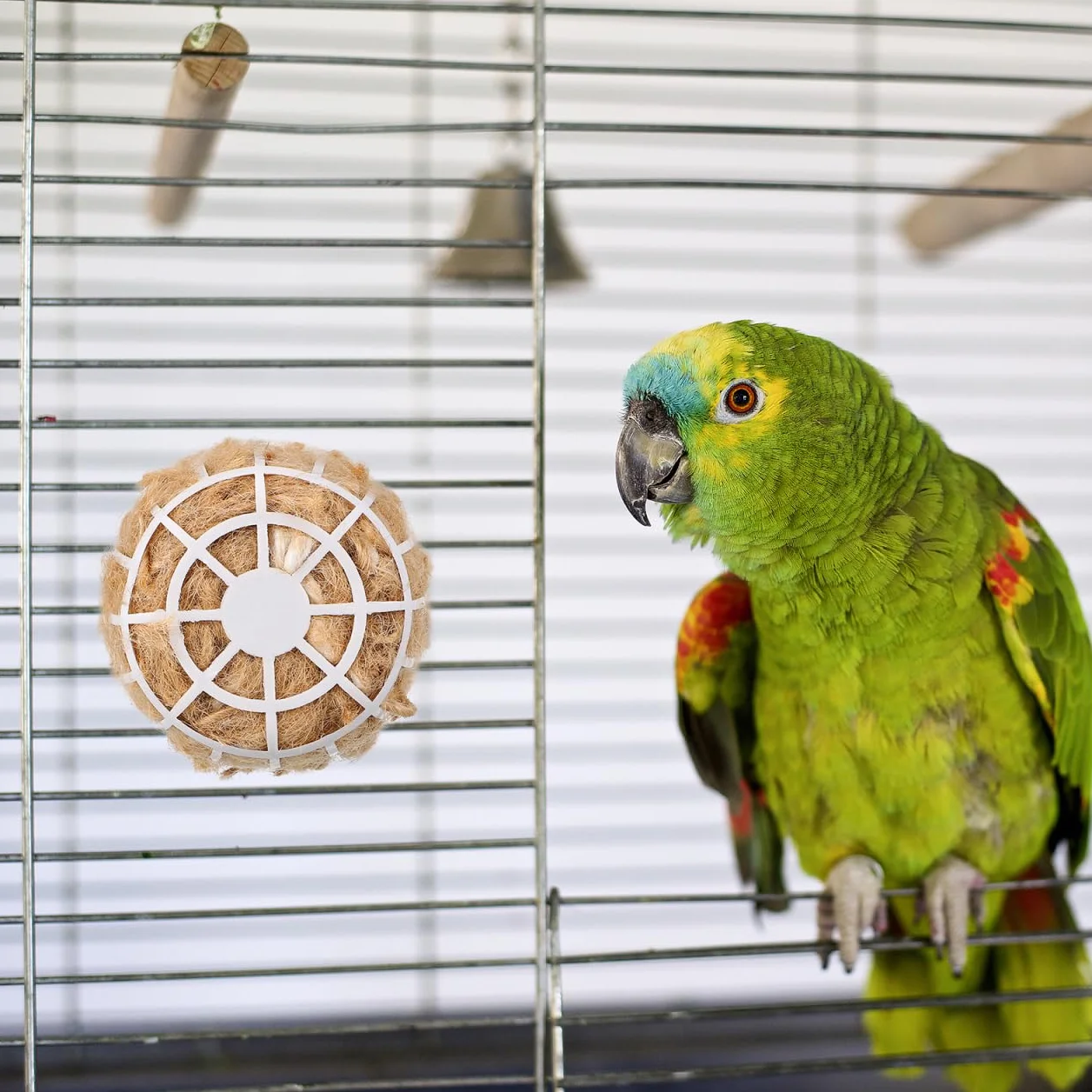 HEMOTON Matériaux de Nidification Souples en Coton et Jute pour Cage à Canari