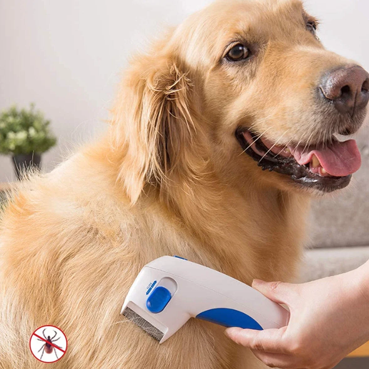 FANDE Peigne à puces électrique pour Chien et Chat - Brosse anti-poux et tiques
