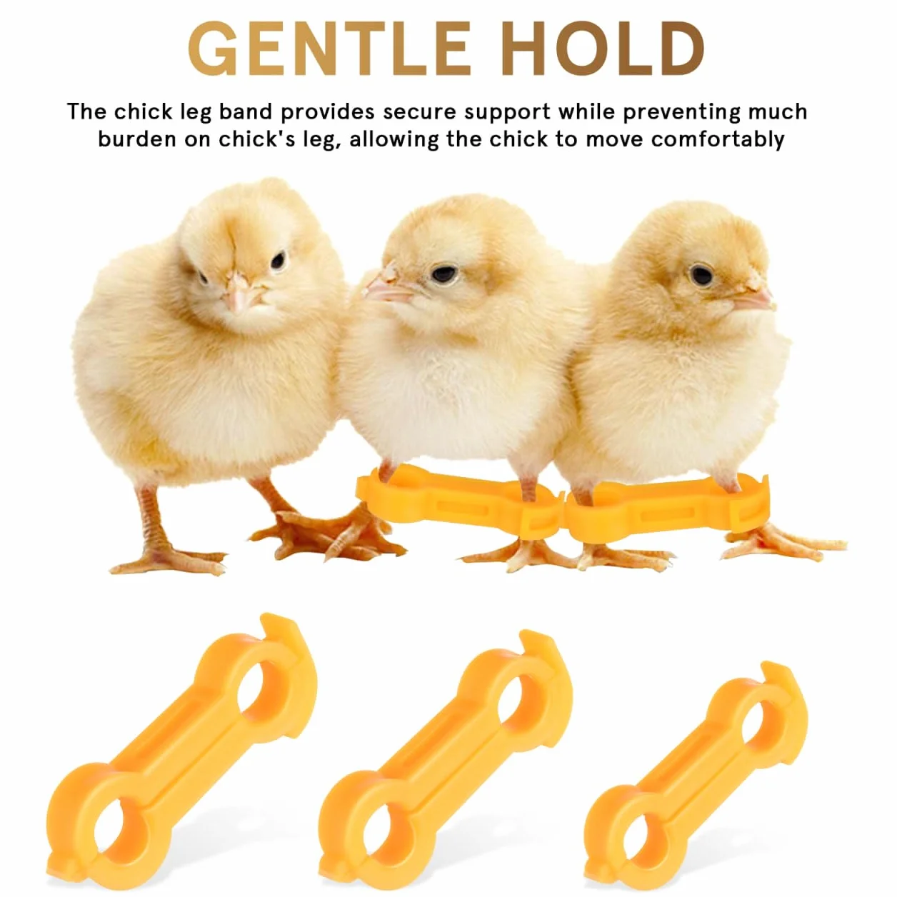 Angoily Lot de 12 Correcteurs De Jambe pour Poussins Stabilisateur Orthopédique pour Pattes Évasées