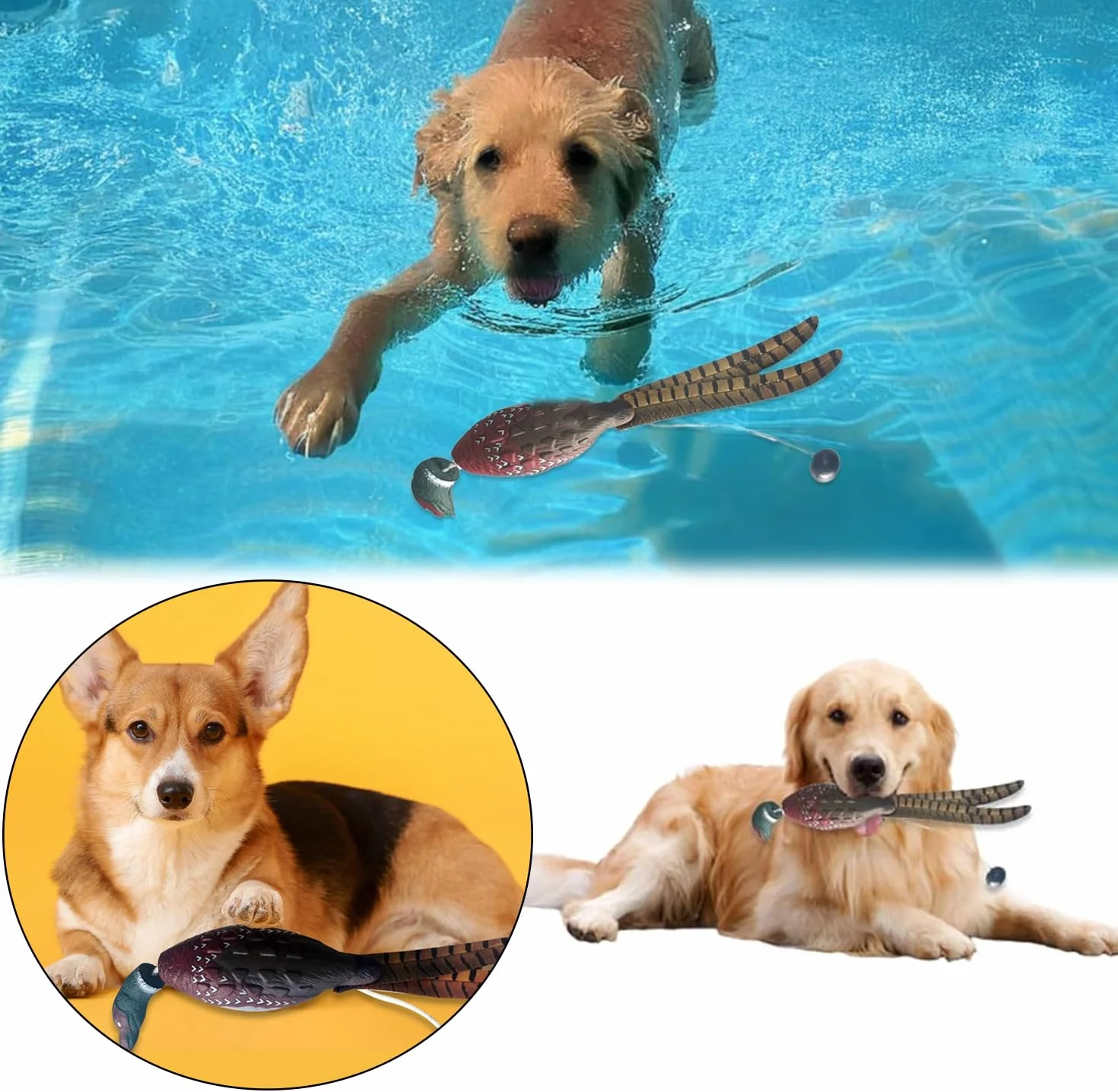 Dummy d'entraînement pour Chien Canard Colvert Chasse Chiots