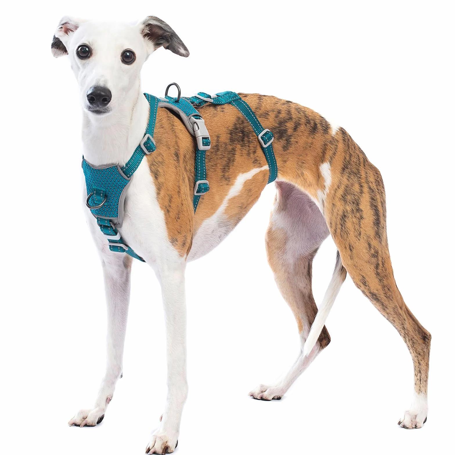 Huntboo Harnais Anti-Fugue pour Chien, Réfléchissant Anti-Traction, Durable Réglable Respirant, Bleu S