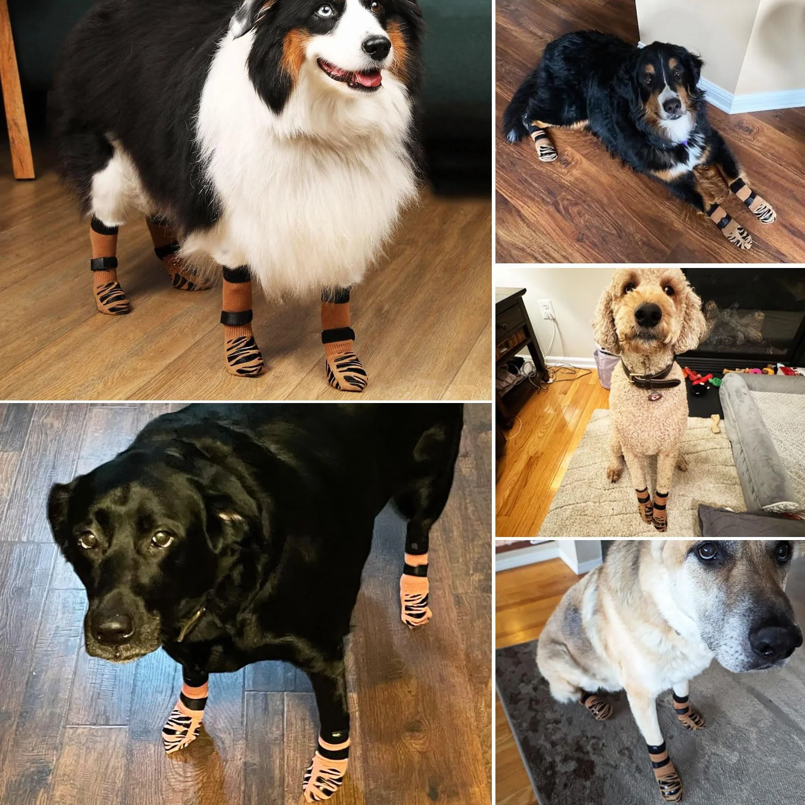 Chaussettes Antidérapantes pour Chien, Double Face, Sol en Bois Dur, Protège-Pattes, Taille M