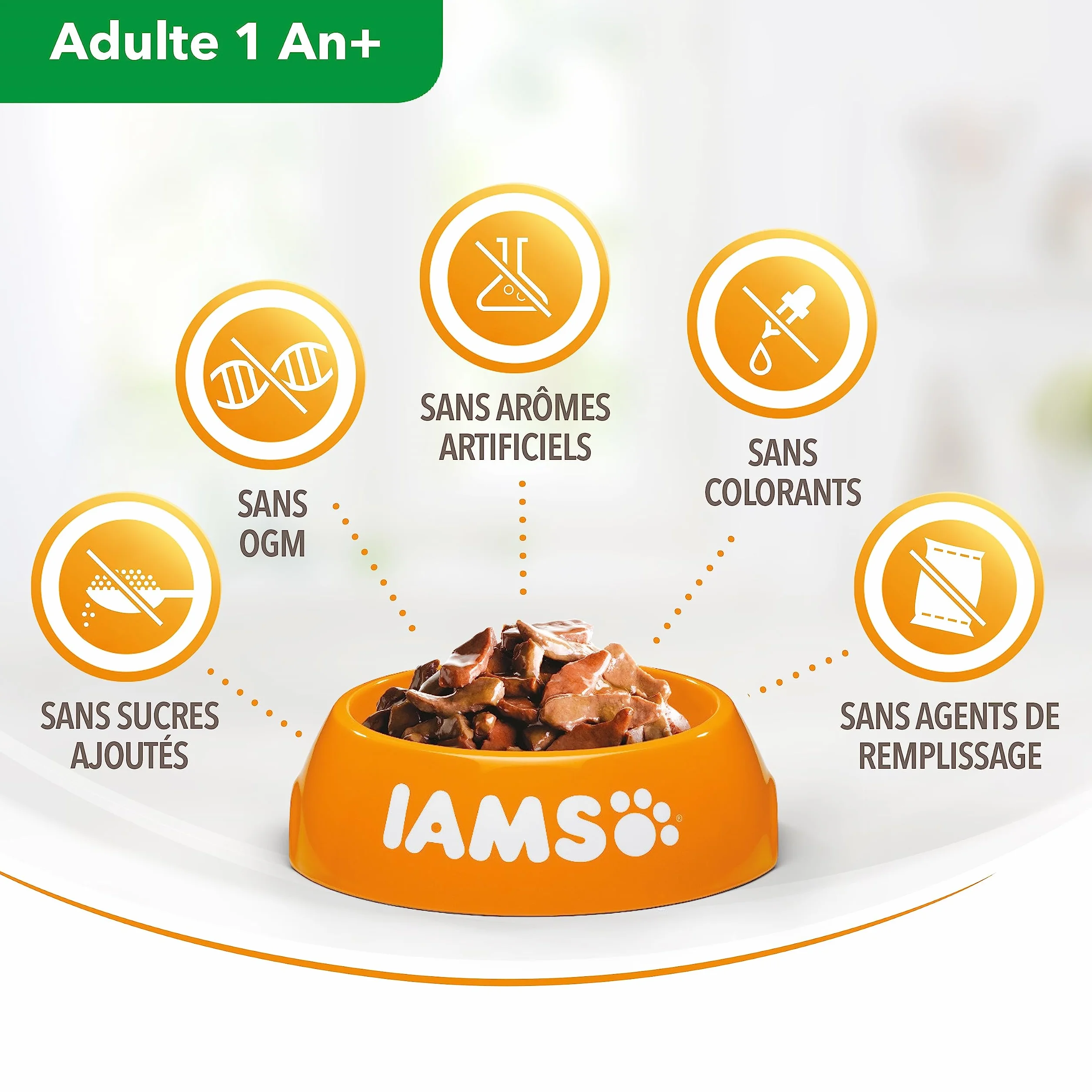 IAMS Chat Adulte Nourriture Humide Gelée Terre&Mer Land&Sea Collection 12x85g